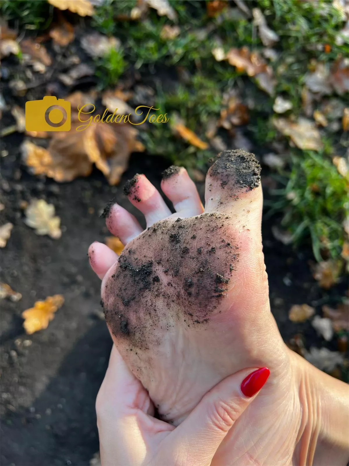 How would you clean my beautiful feet? To whom should I give the honour? GTx