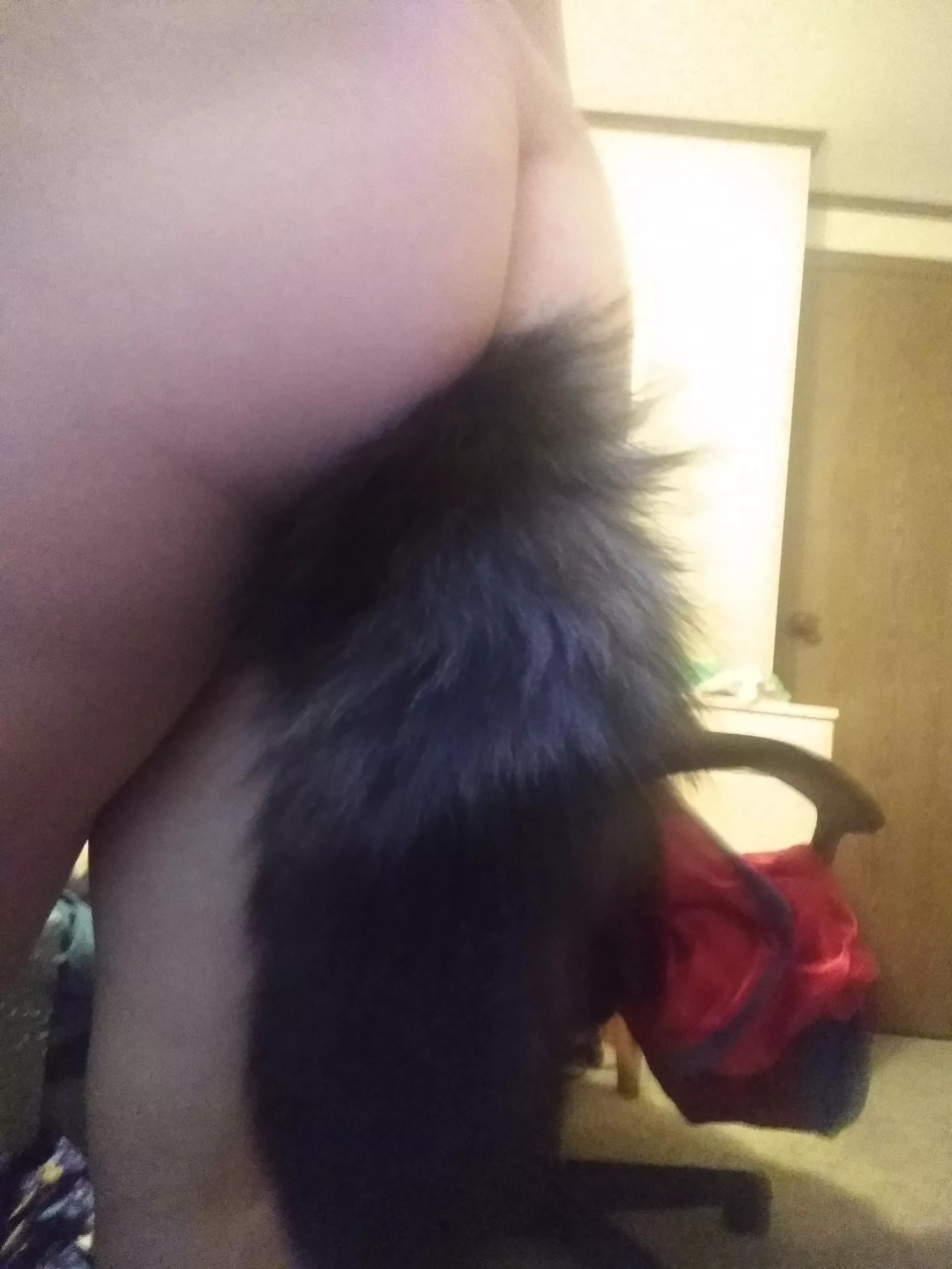 How's everyone feel about my tail plug?