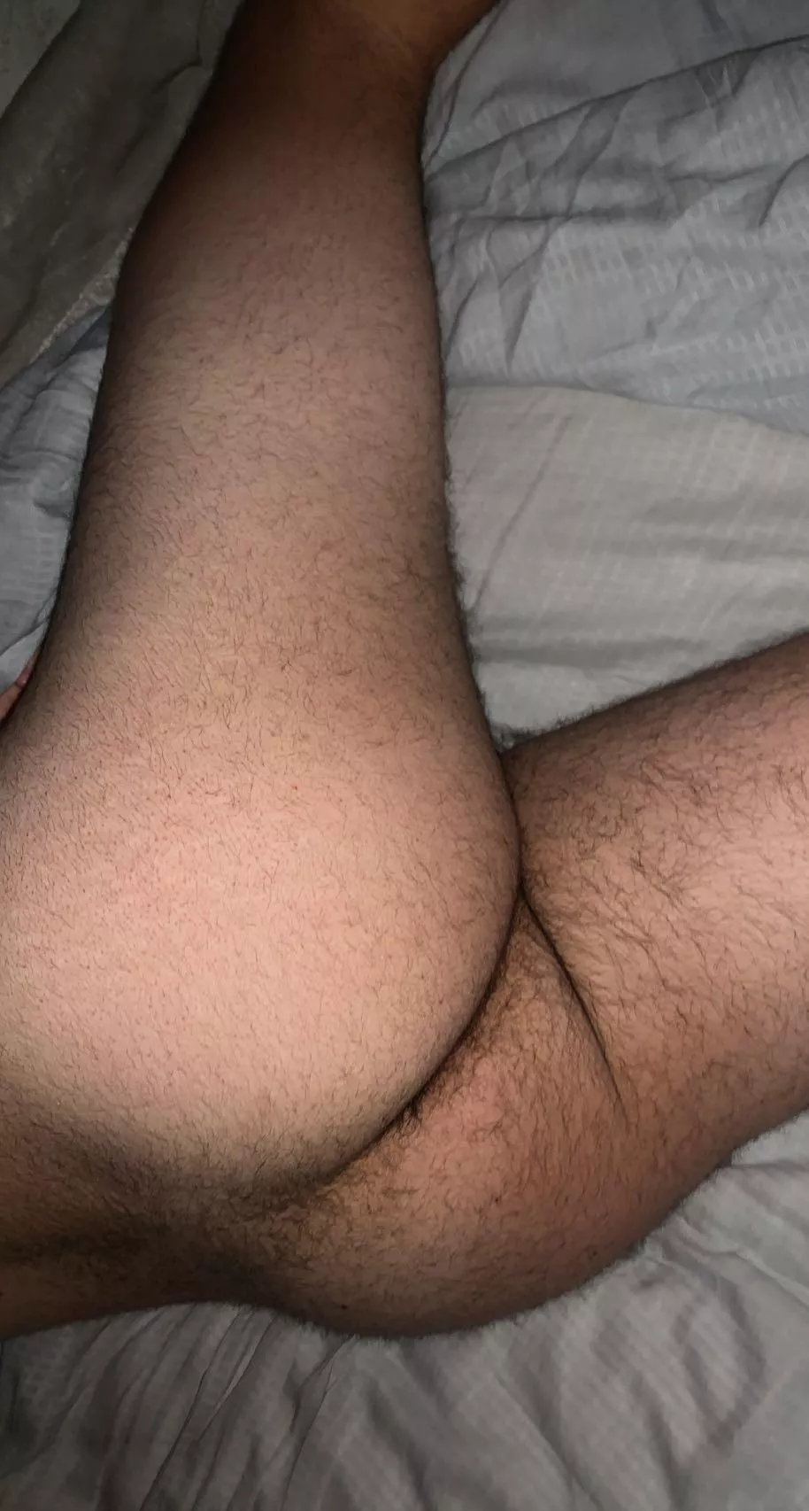 How’s my hairy ass looking??