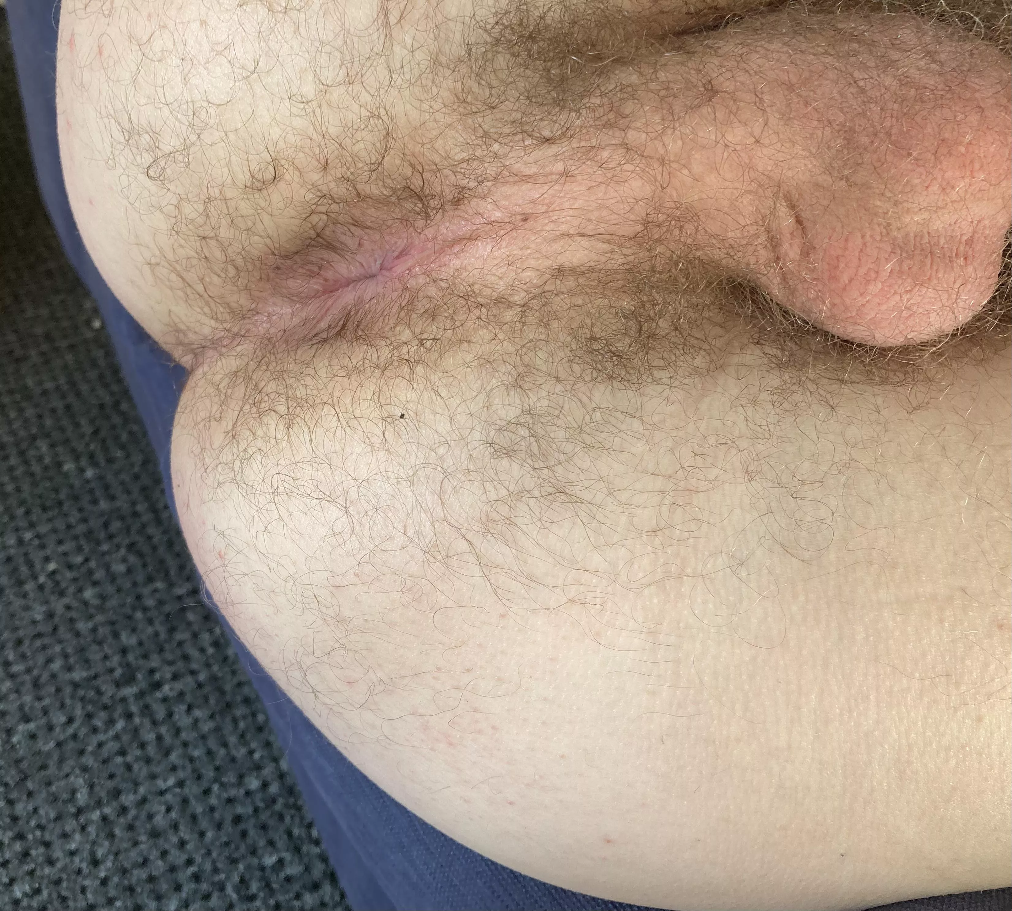 How’s my hairy taint look? 22M