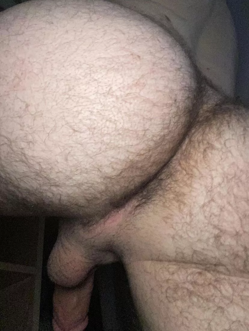 How’s this for a hairy man ass?