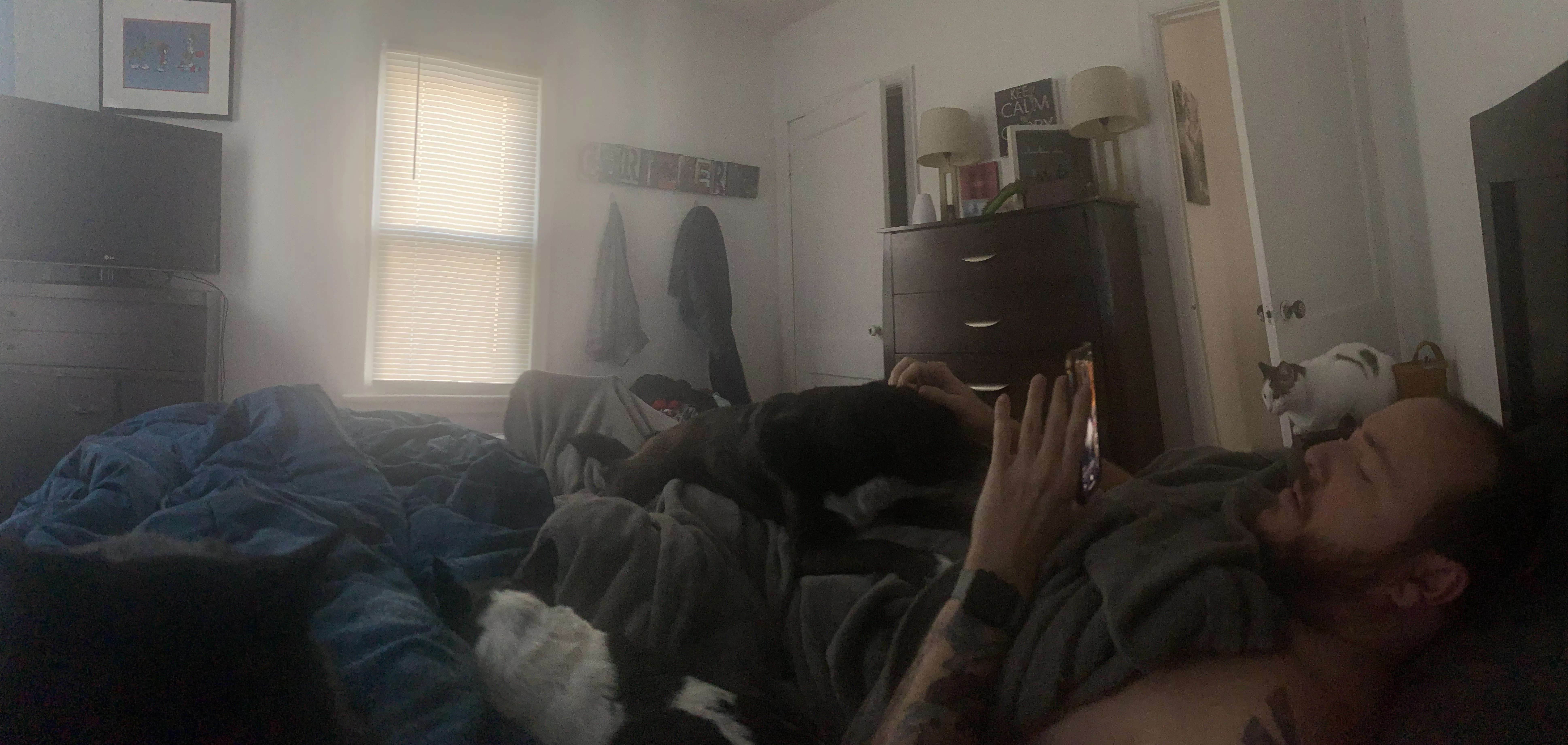 Husband and all of the animals chilling on Saturday morning. All my favorite boys.