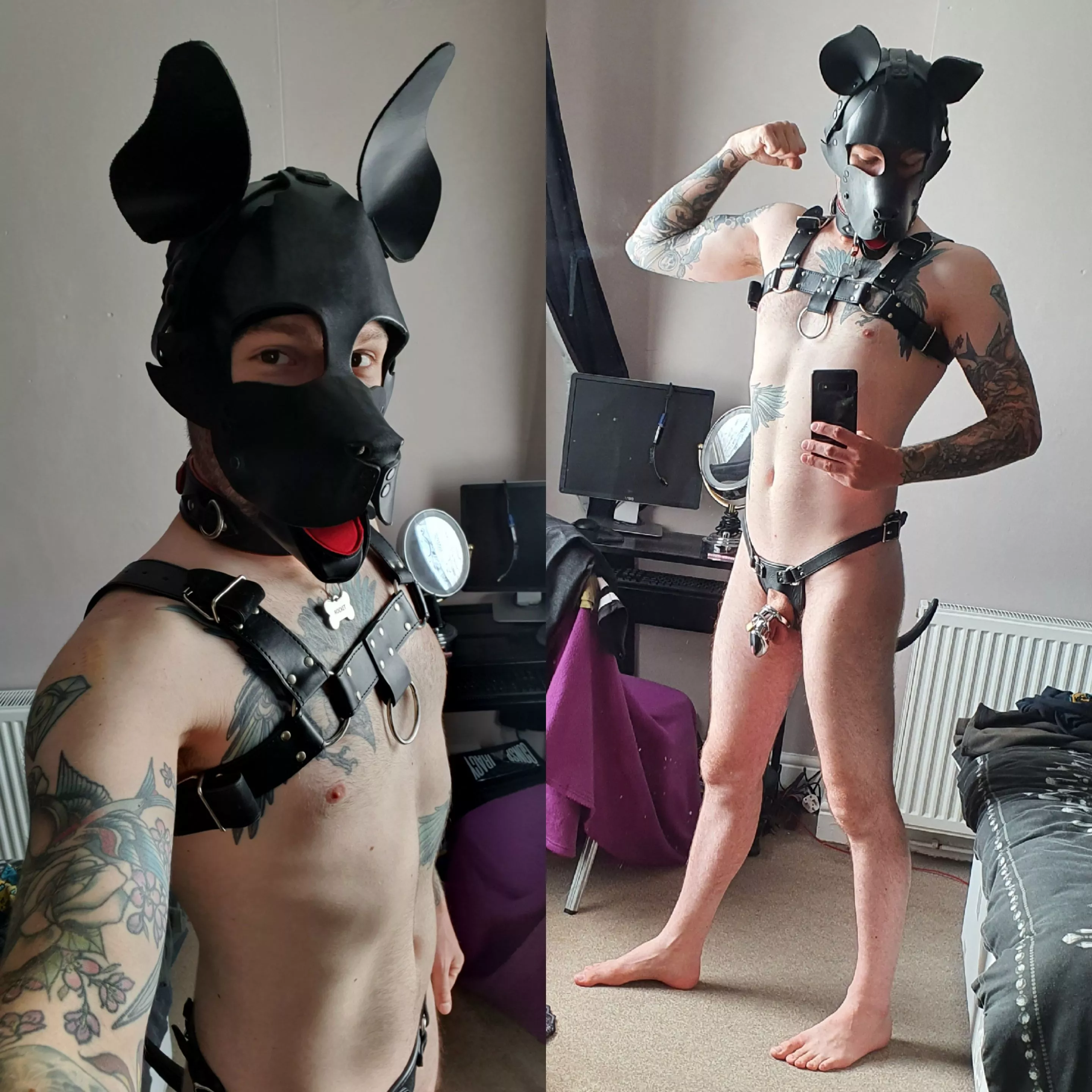 I always feel super cute in my pup mask :D