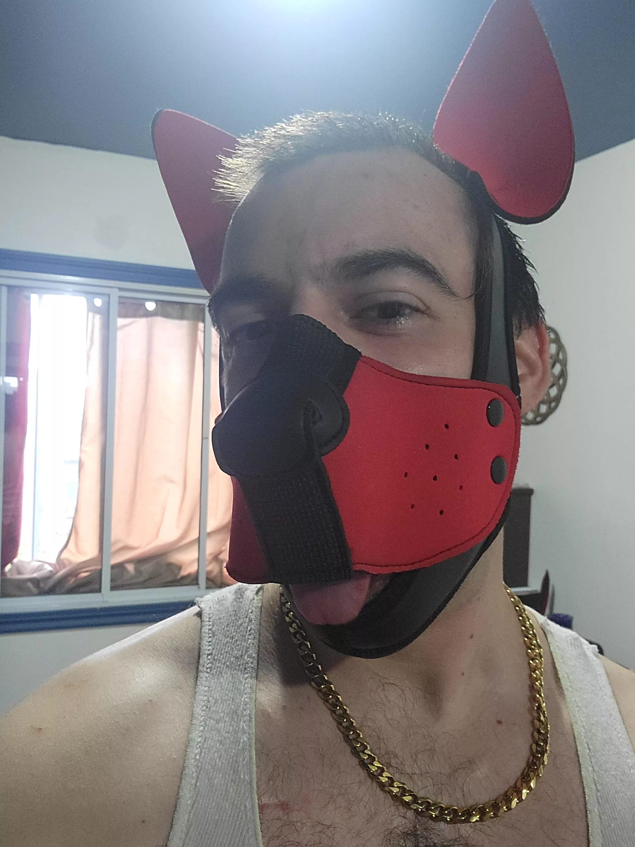 I feel hot with my pup gear