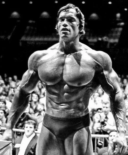 I found the model for every stacked seme in a manhwa/webtoon. Arnold Schwarzenegger—Mr Olympia, 1975