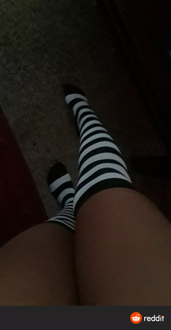 I got some new thigh highs what do you think?