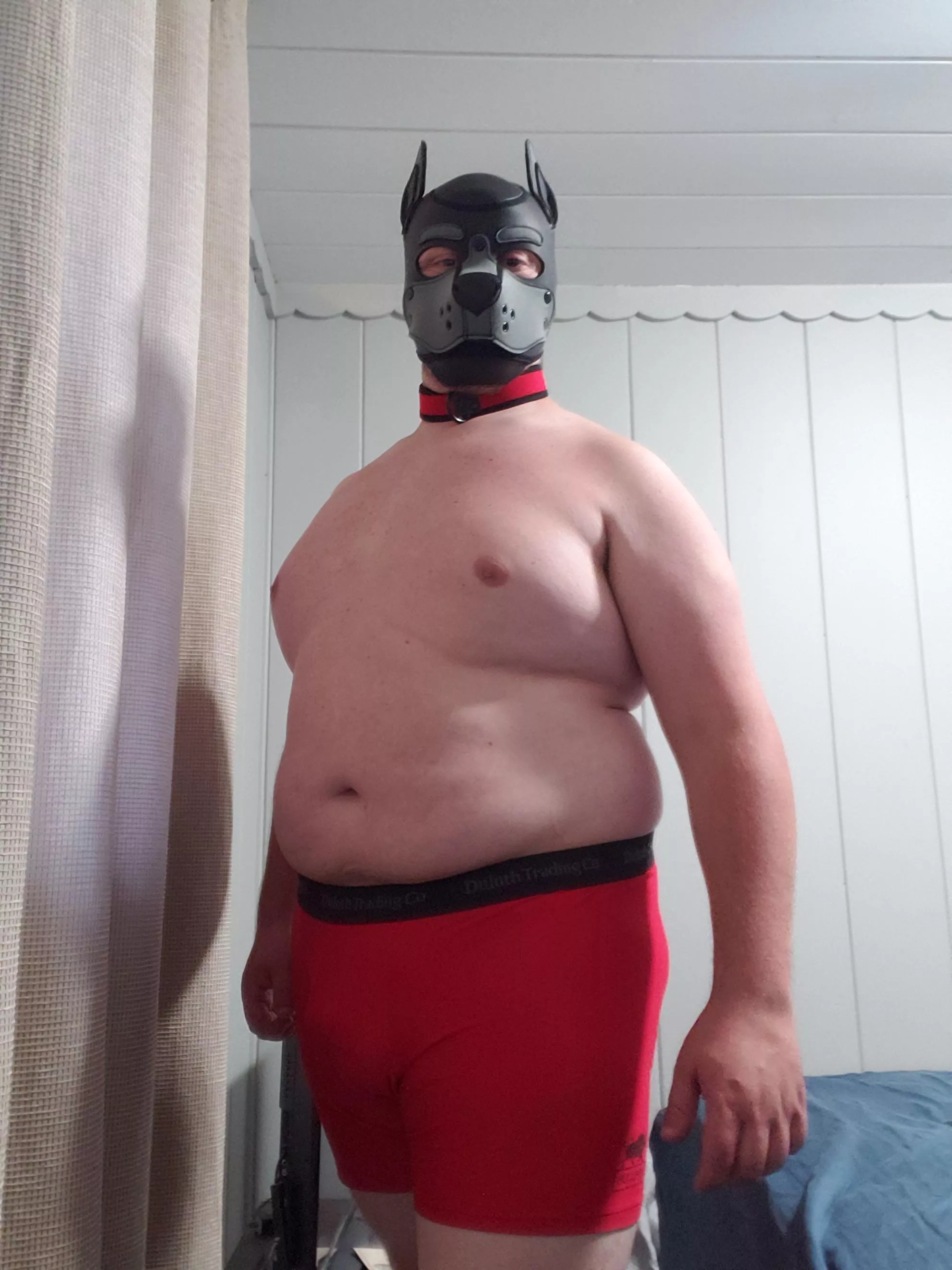 I haven't uploaded in awhile so here's me in matching collar and underwear.