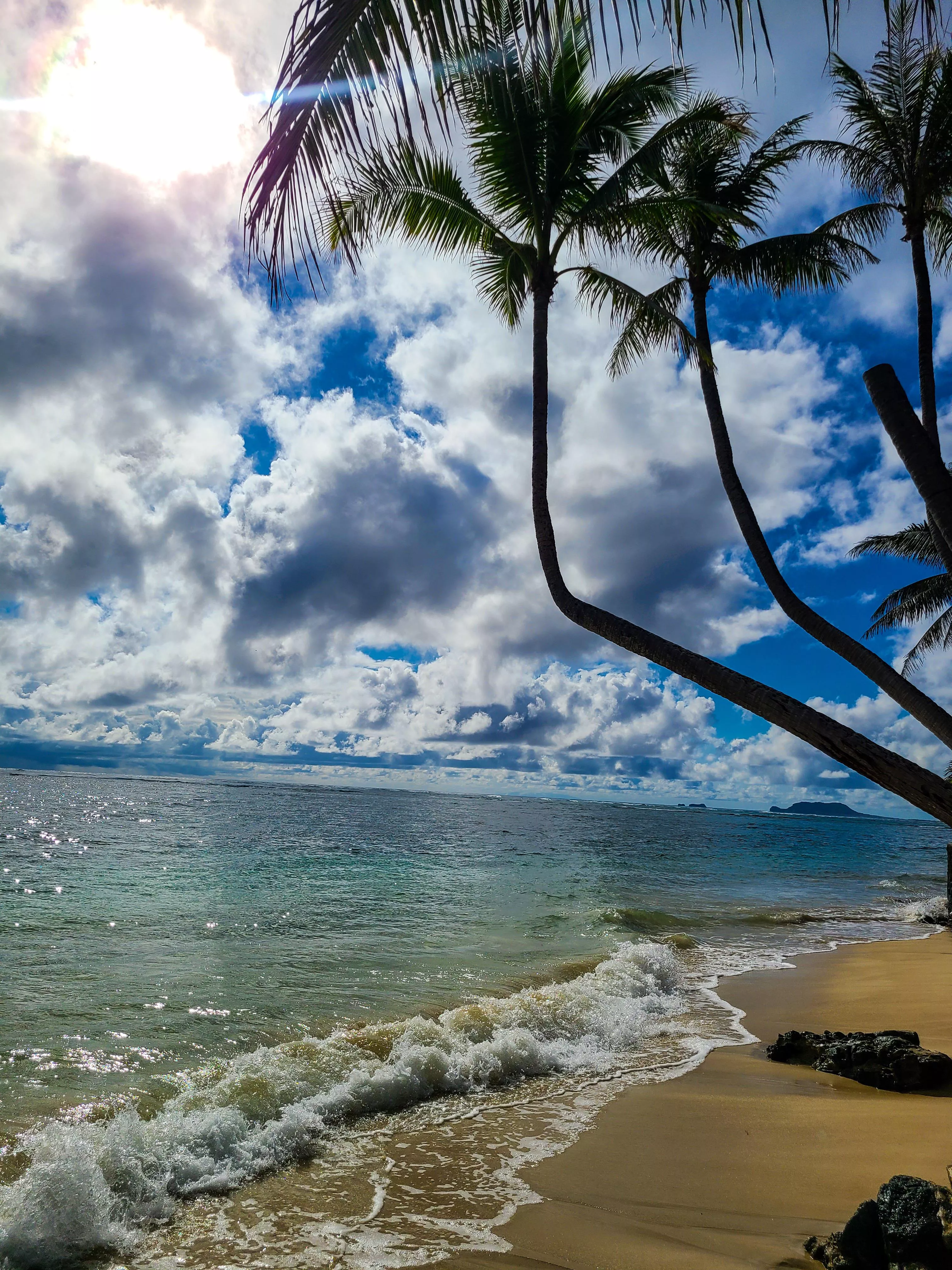 I live in Hawaii. I go to the beach everyday and just thought I would share a photo.