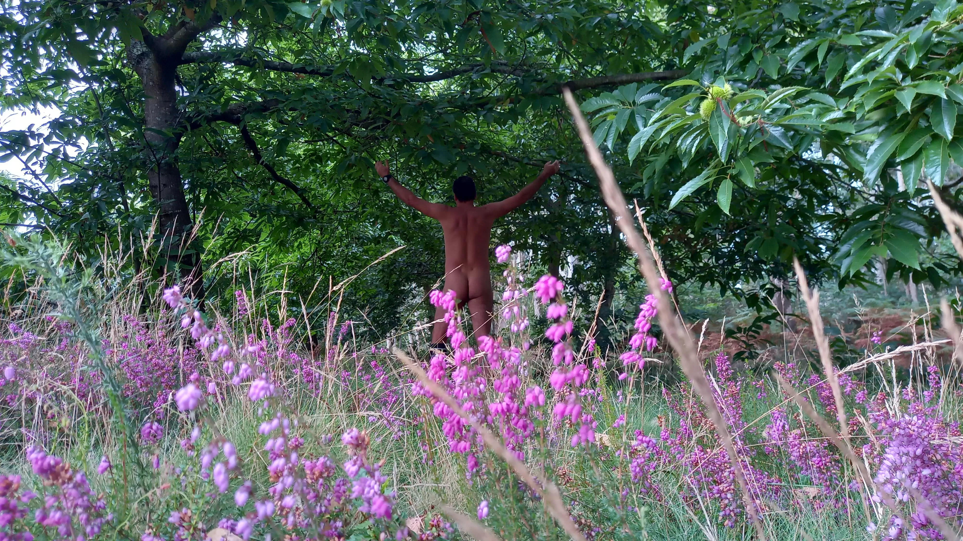 I love NUDE in NATURE for this a[m]azing tings â¤ðŸŒ³ðŸŒŠ