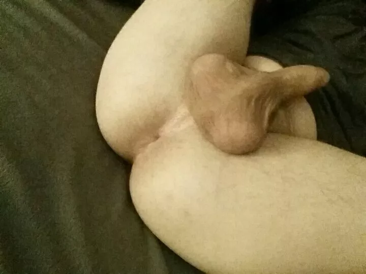 I need a hairy cock to breed me