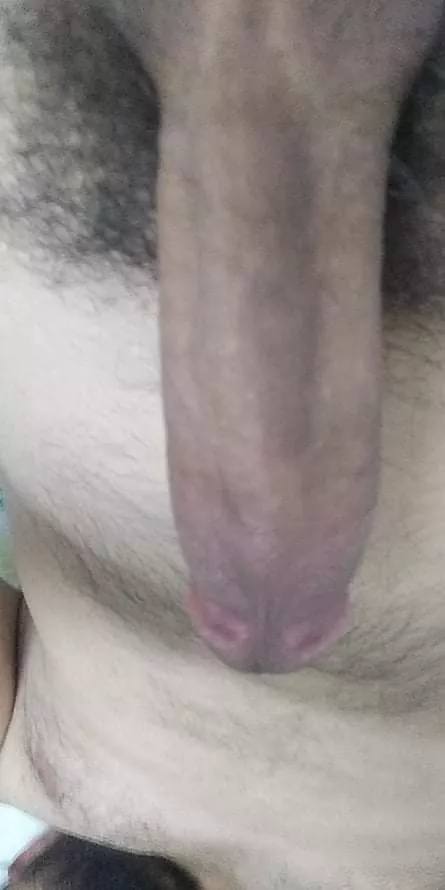 I need sissy or trans