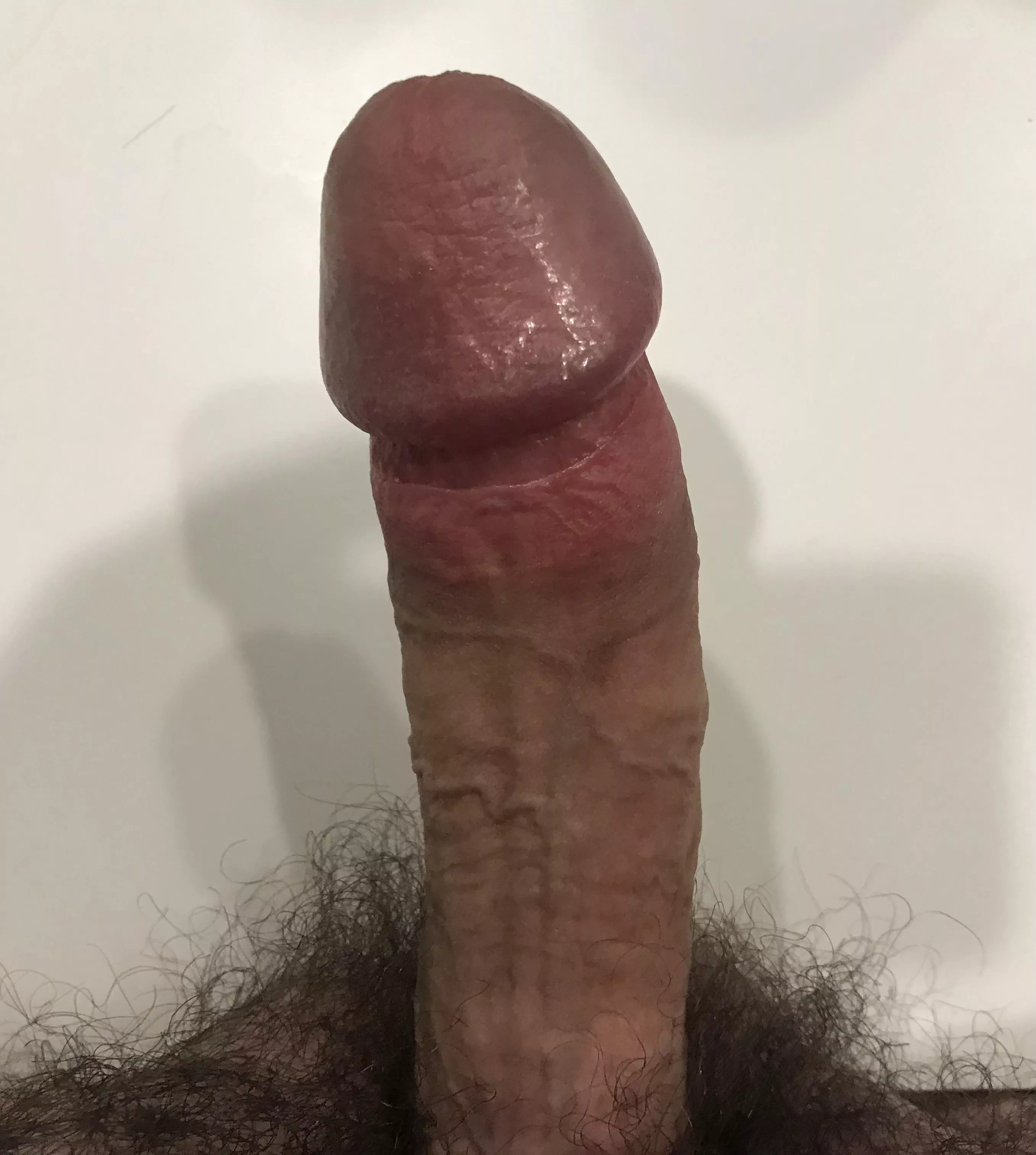 I personally think my cock and ass are very hairy