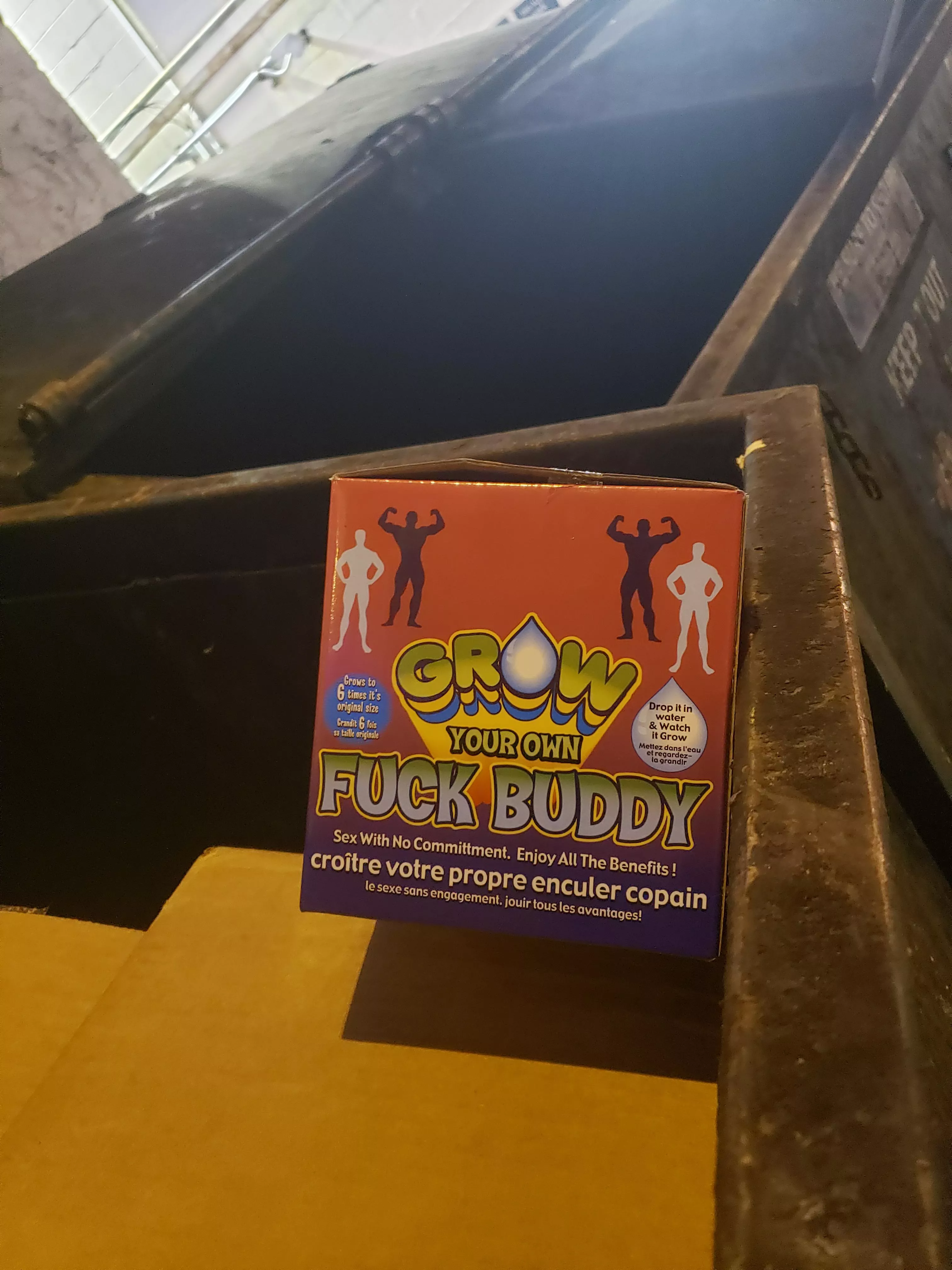 I saw this in the dumpster last night.