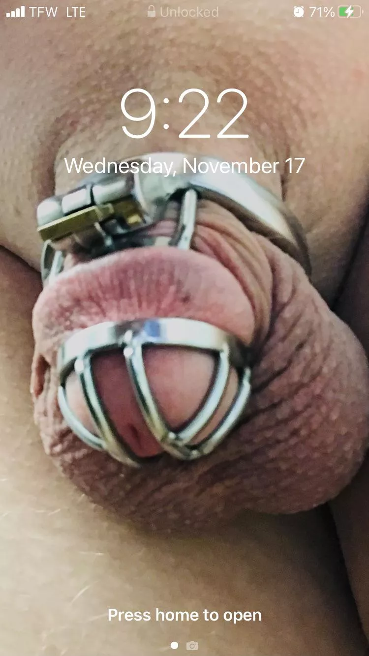 I was told to keep this as my Lock Screen until my chastity sentence ends. ðŸ˜³