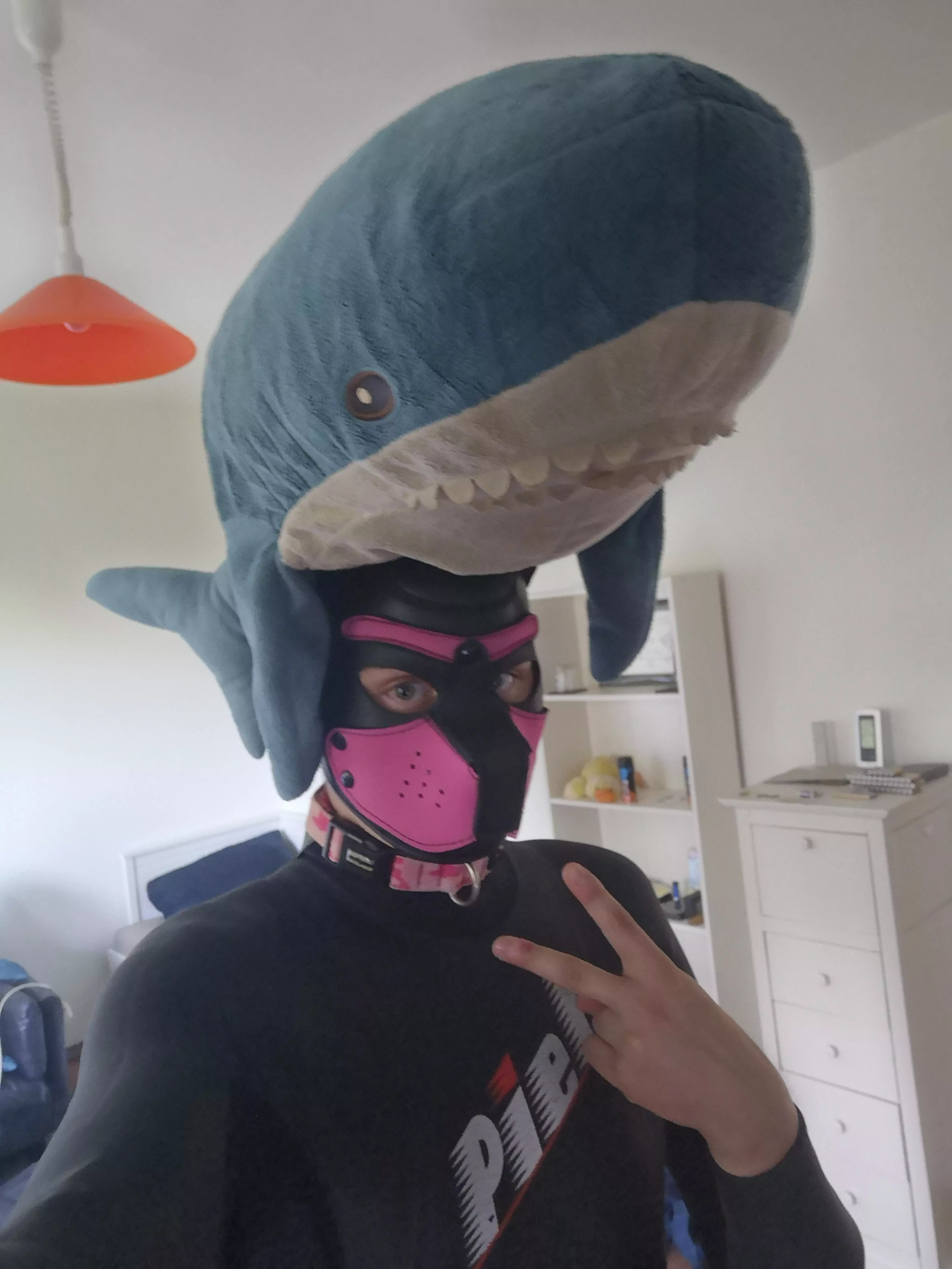 I'm a Shark Pup :D