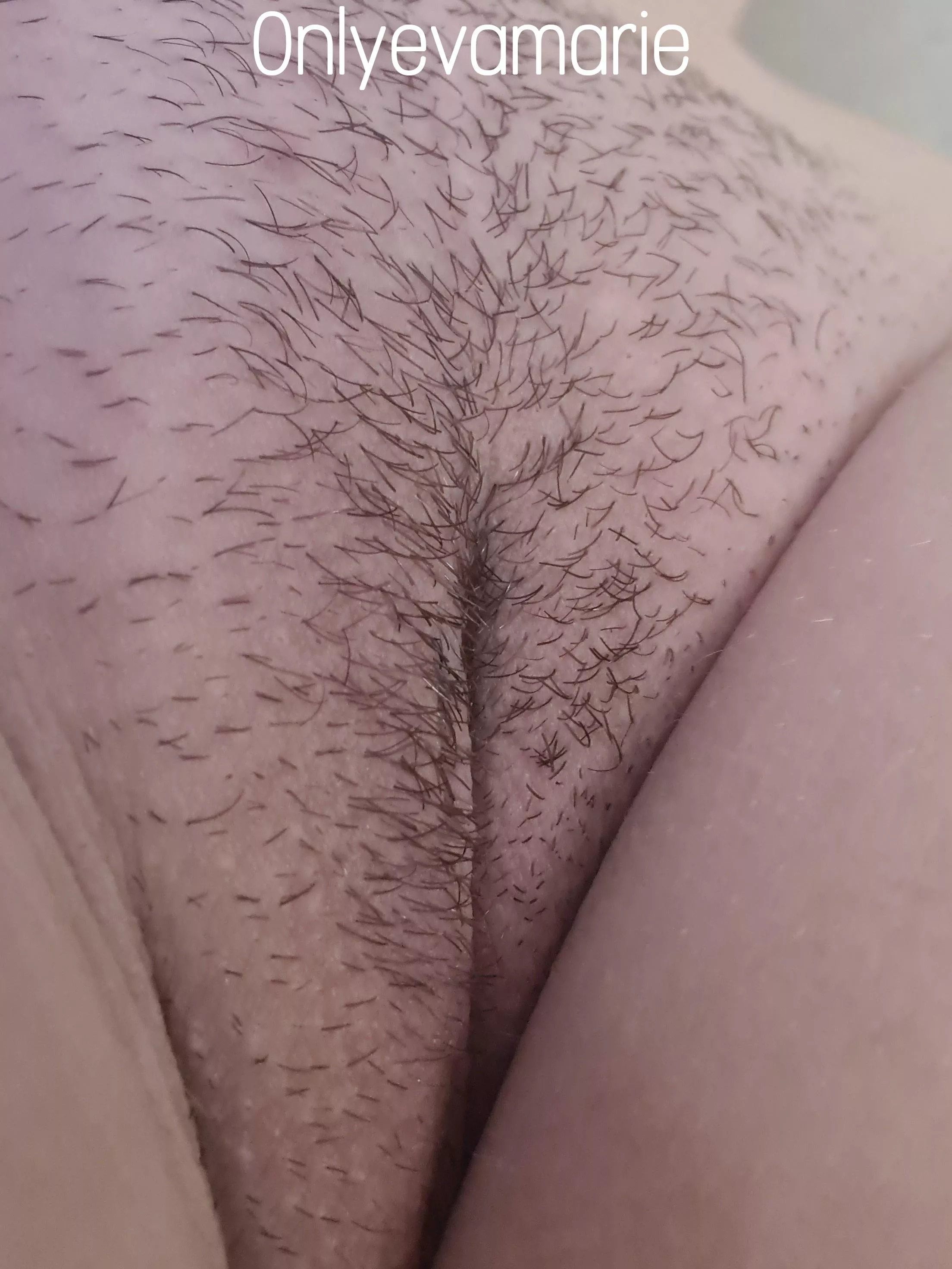 I'm growing my pussy hair for November