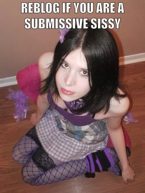 I'm just a submissive sissy