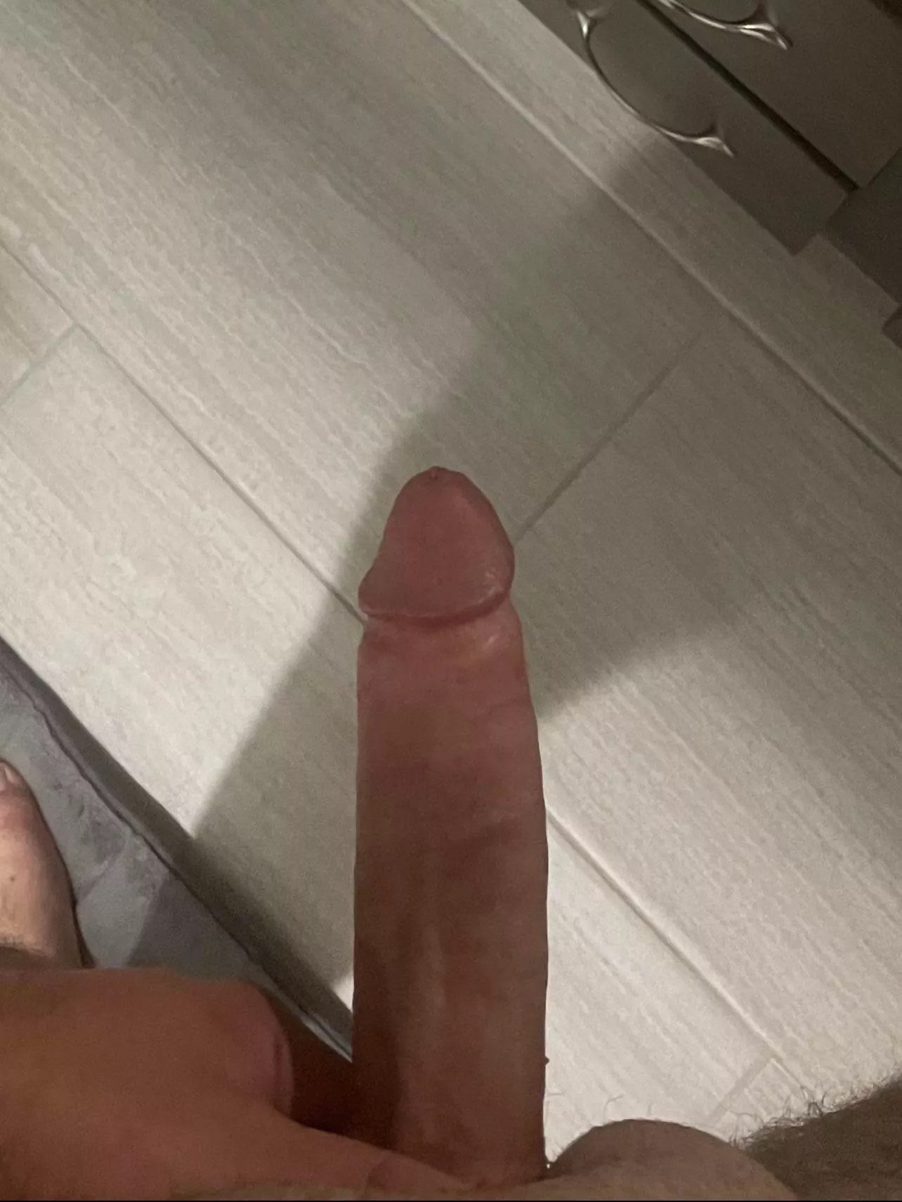 Iâ€™m looking for my cougar (M28)