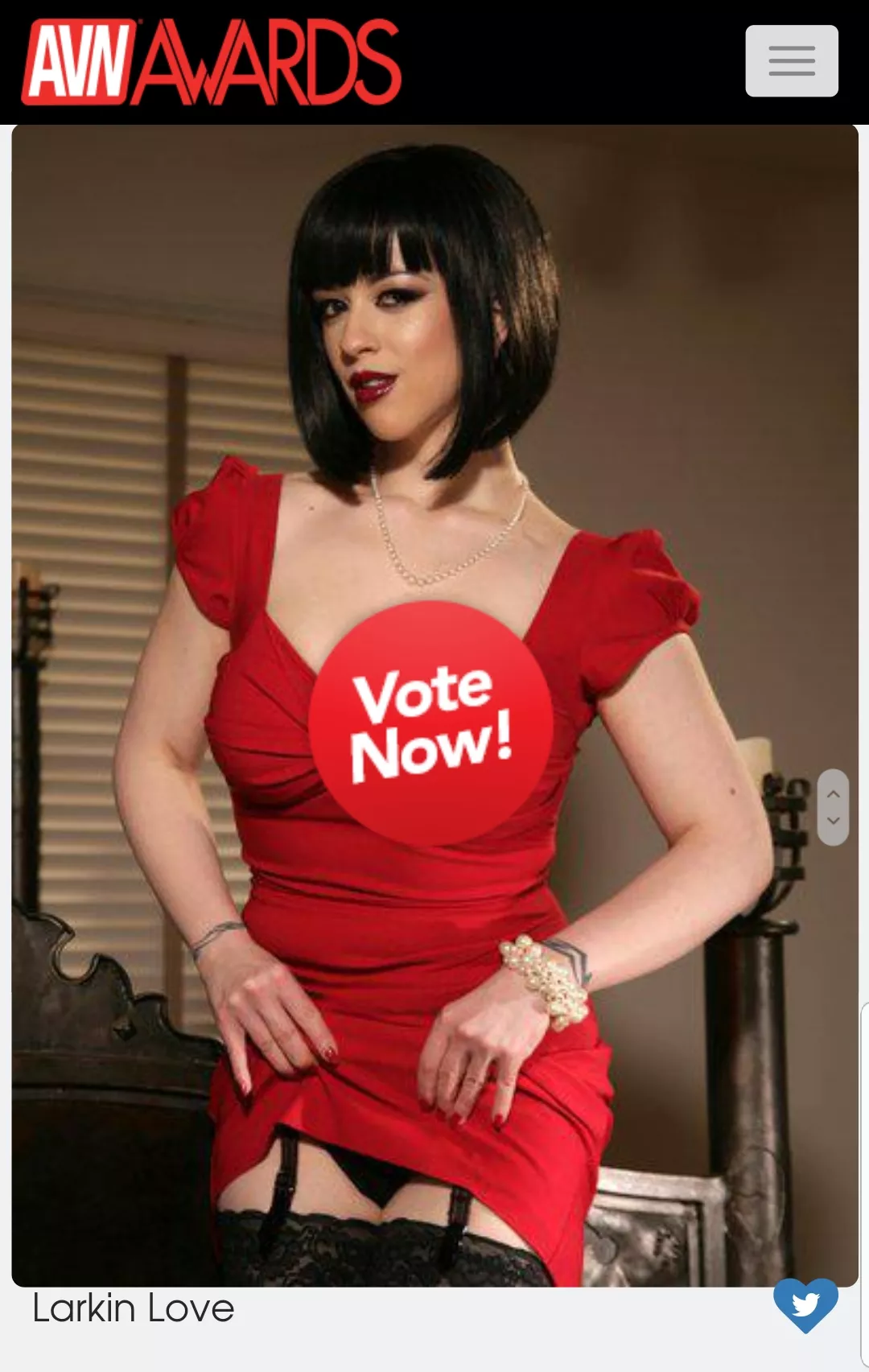 I'm nominated for an AVN Fan Award this year! Please VOTE! Details in comments.