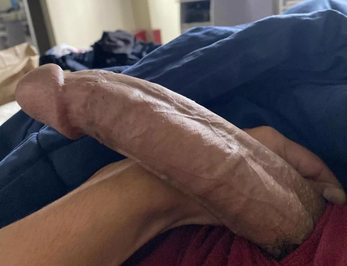 Iâ€™m straight but I just wanna know who would suck this cock