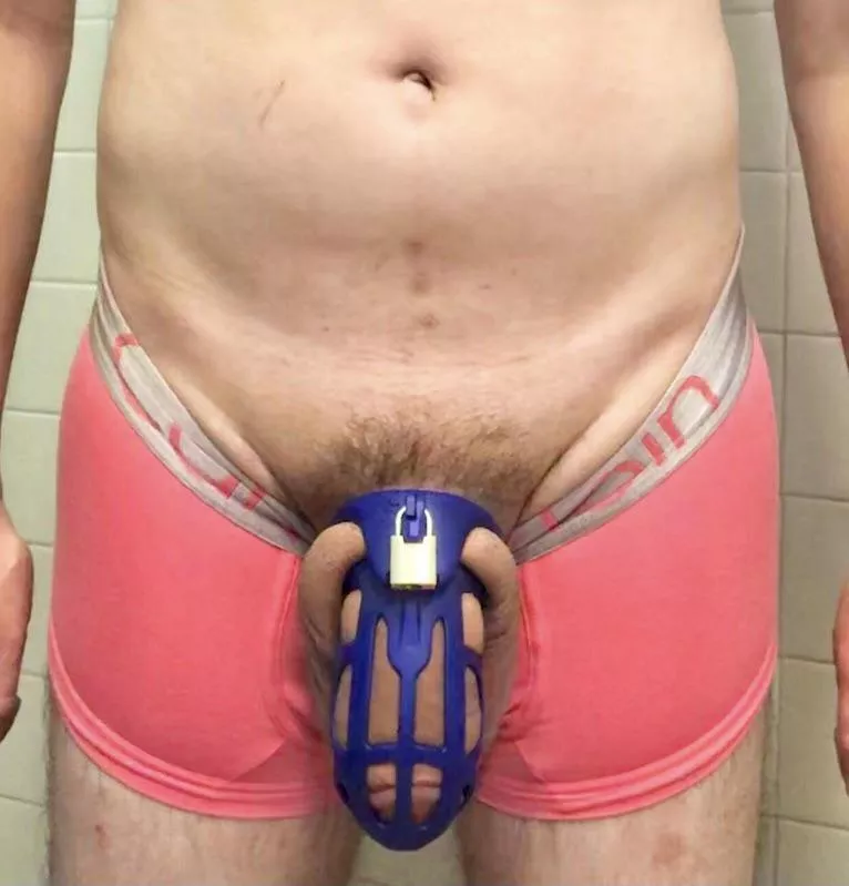 In pink undies and big blue cage