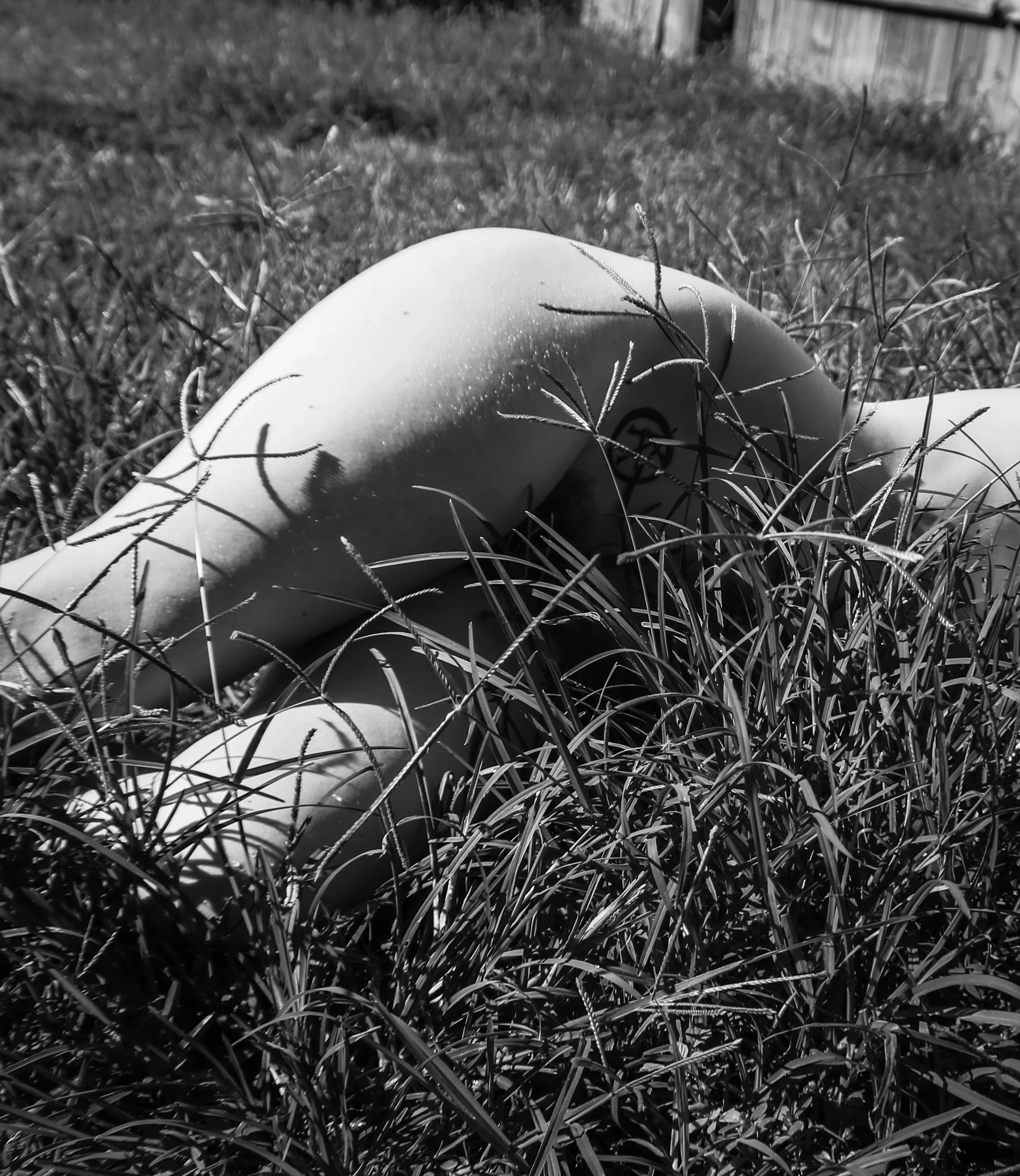 in the tall grass (self shot)