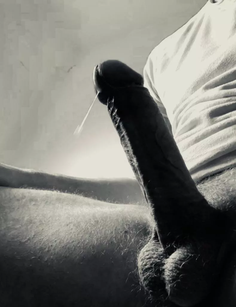 Intense edging leads to precum drool…