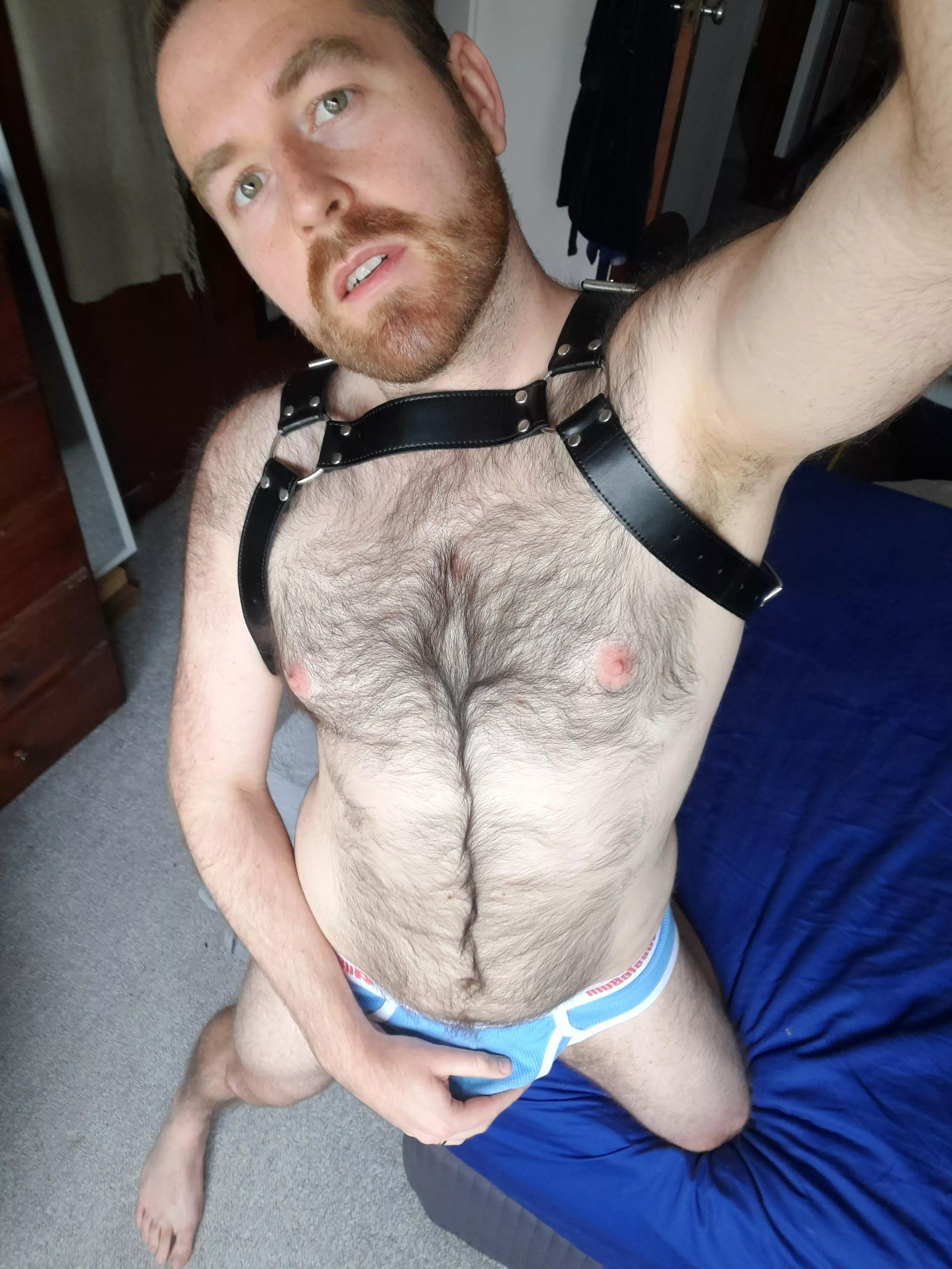 Is it wrong to put a leash on your bear? ðŸ¤¨