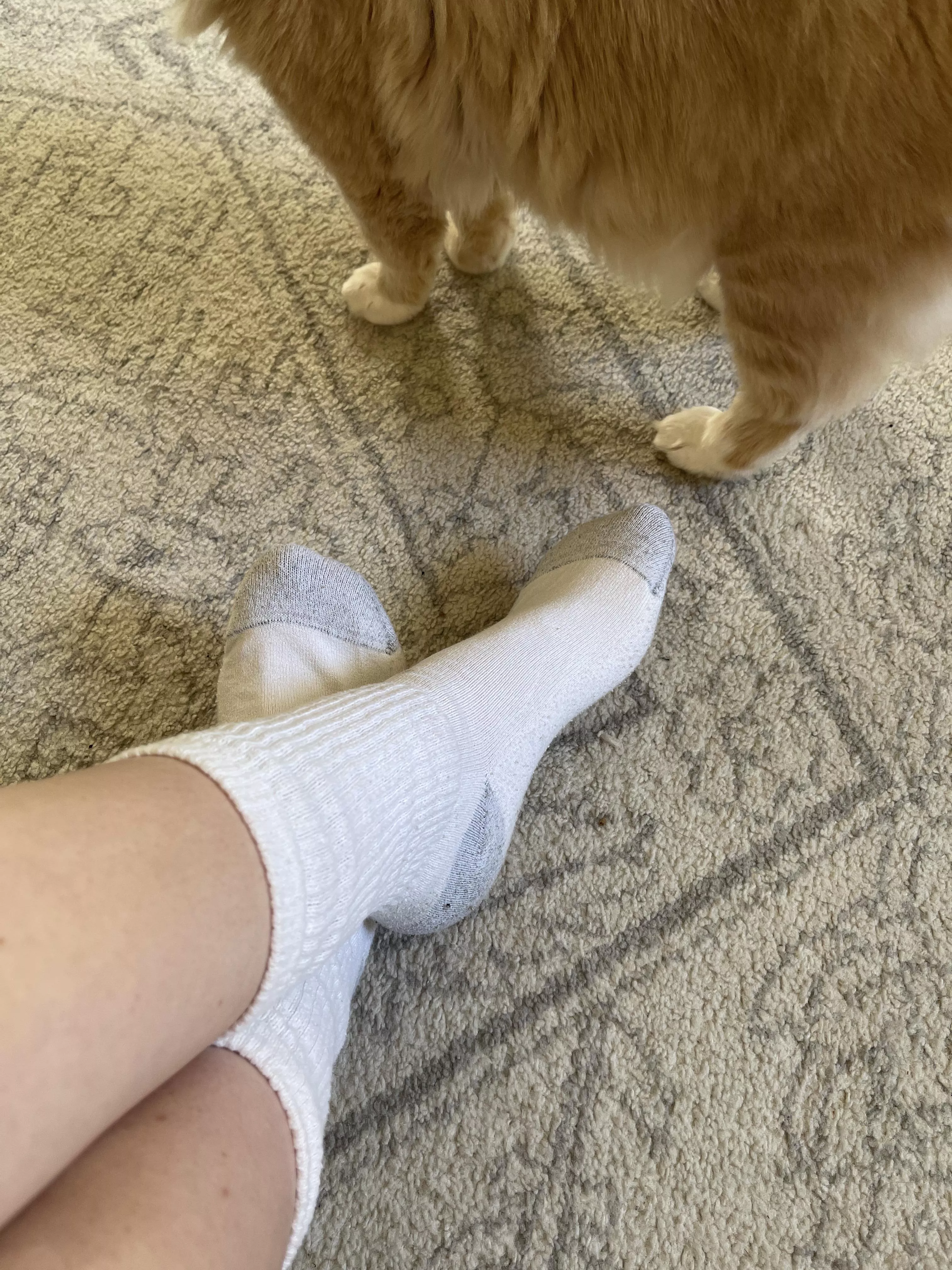 It looks like my cat is wearing socks too 🧦