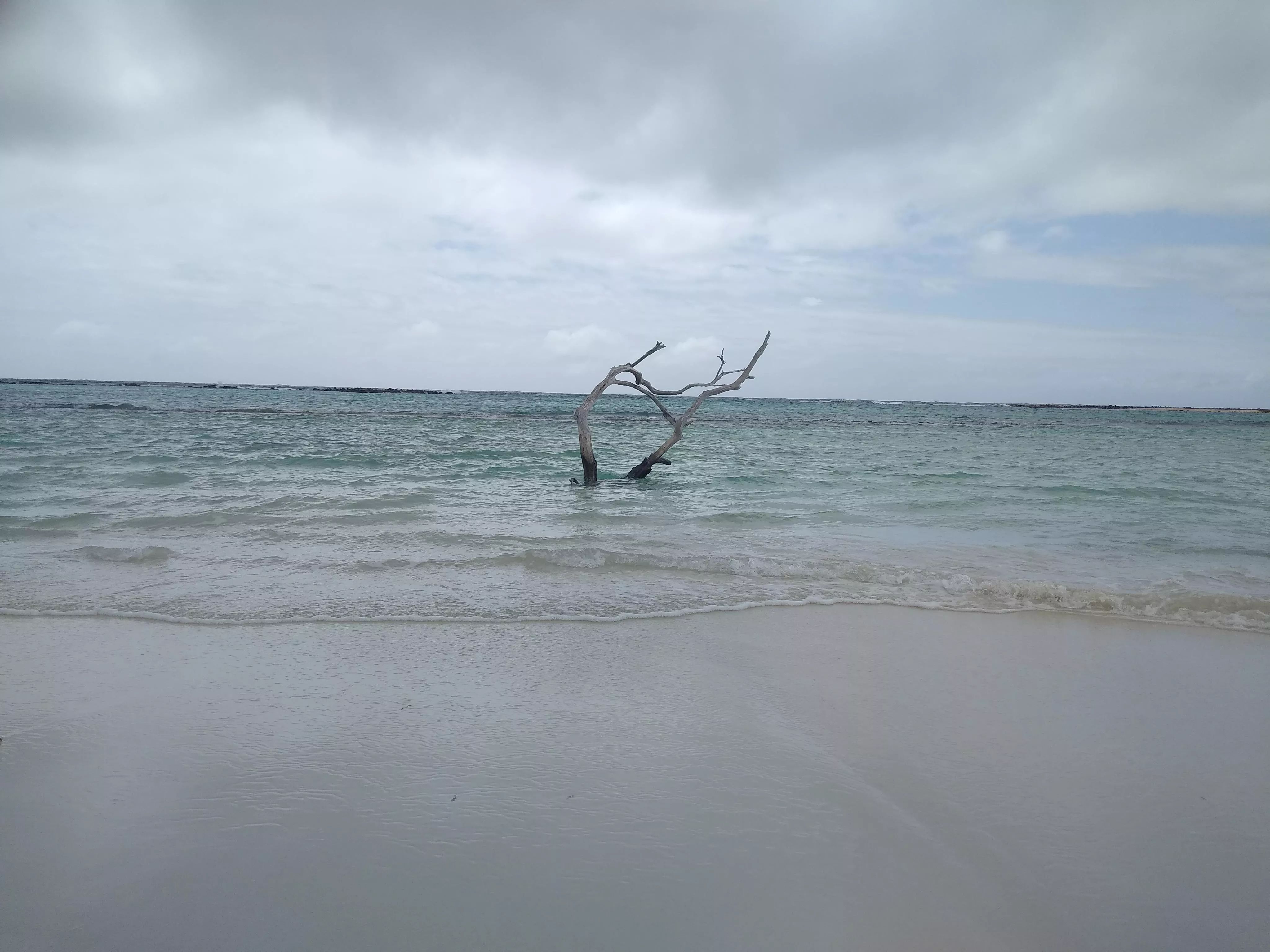 It was a great day at baby beach (ARUBA 2021)