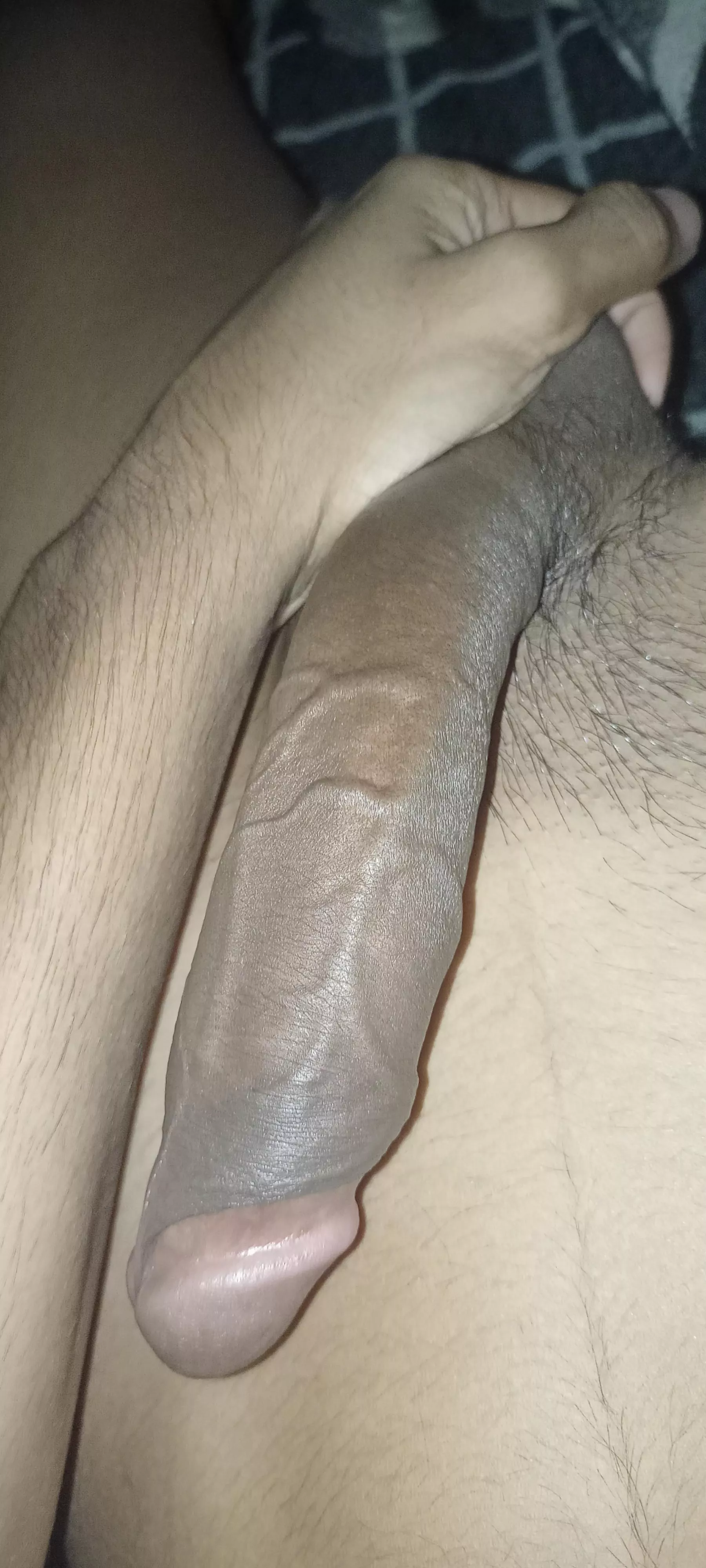 It's big or small? What Do you think?