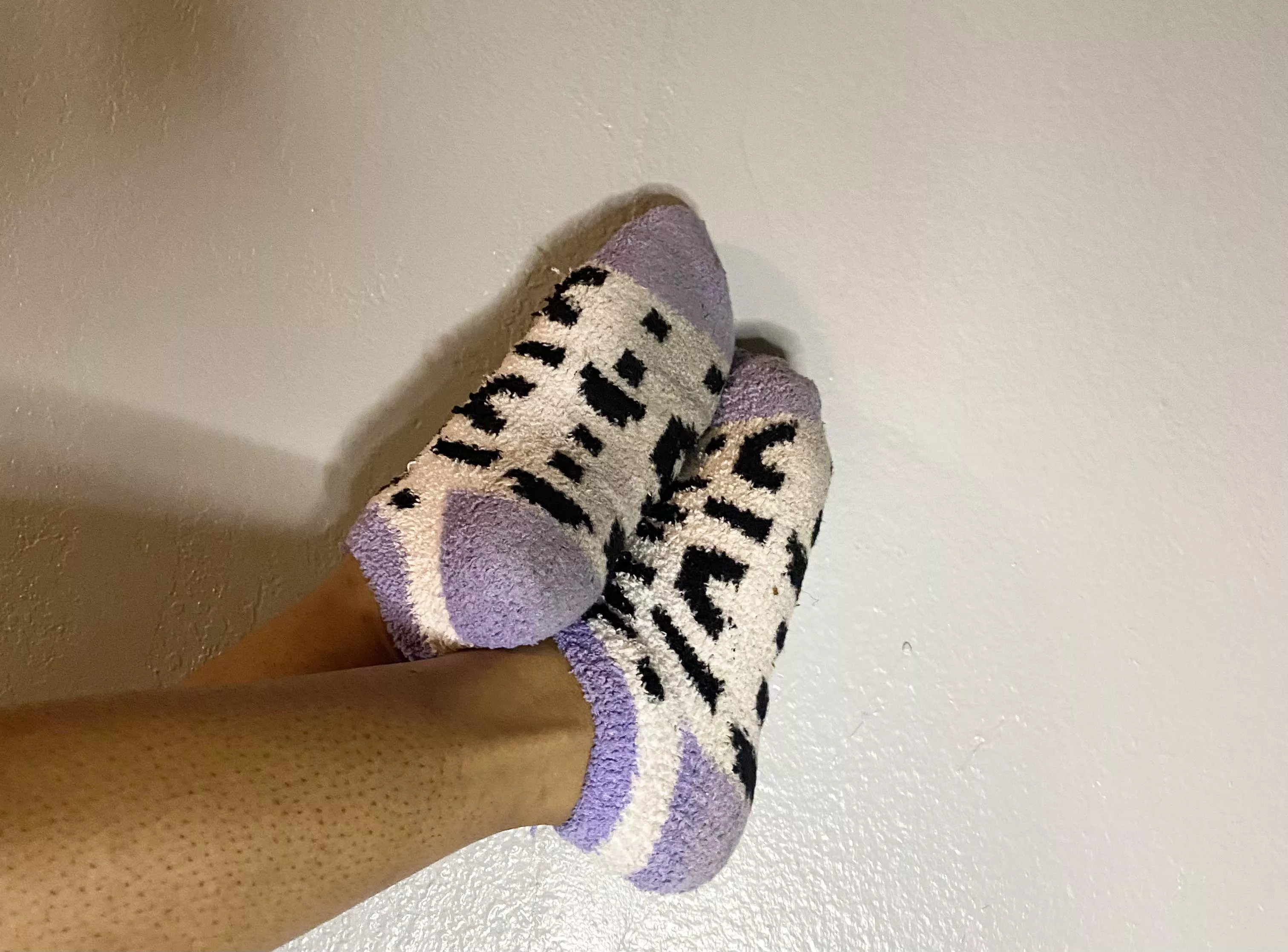 Ive been walking around in these dirty socks for a week, my foot scent is immaculate[female] â€¢ TikTok link in comments