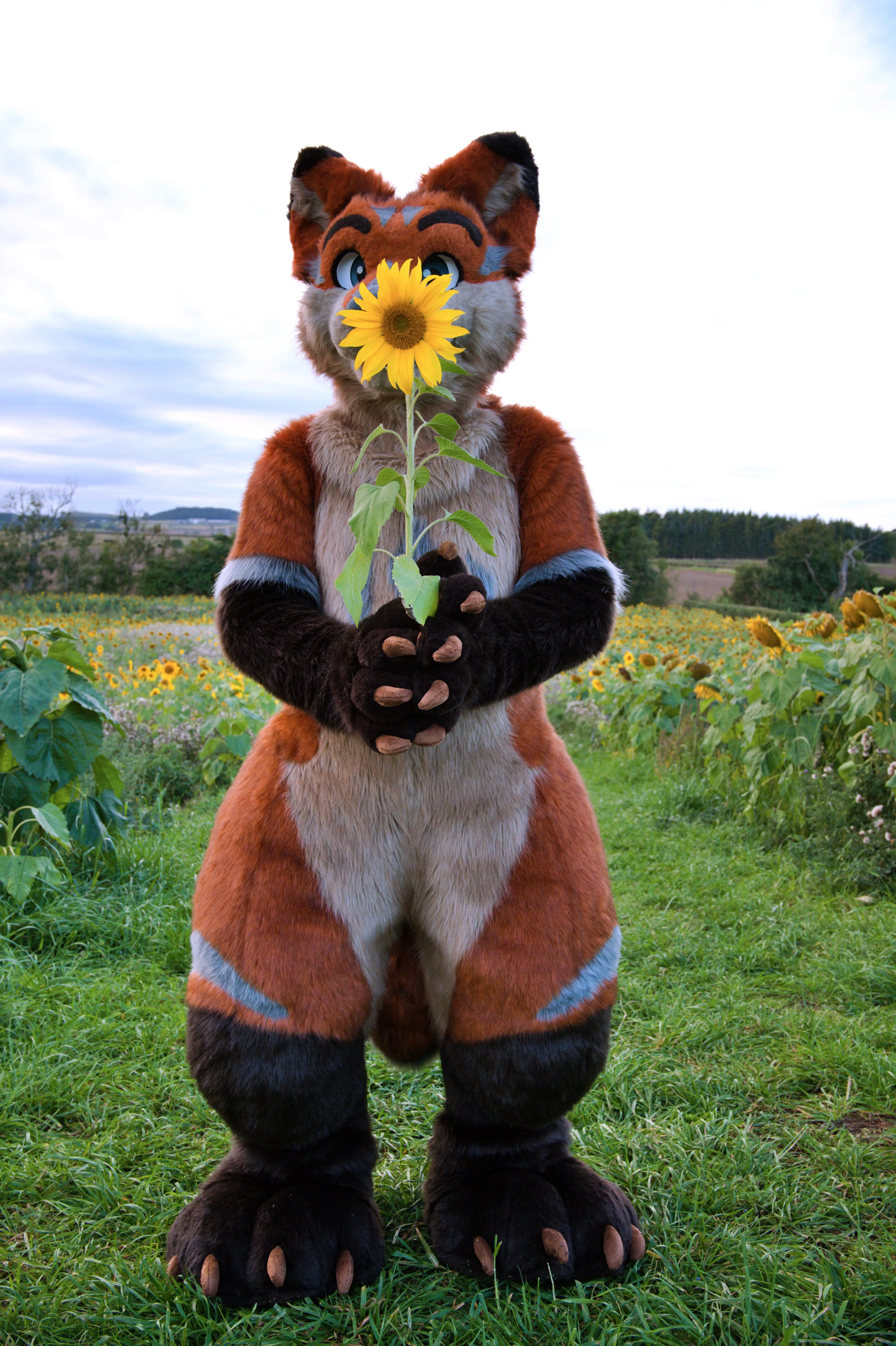 I've got this flower ... For you â˜ºï¸ Happy Fursuit Friday!