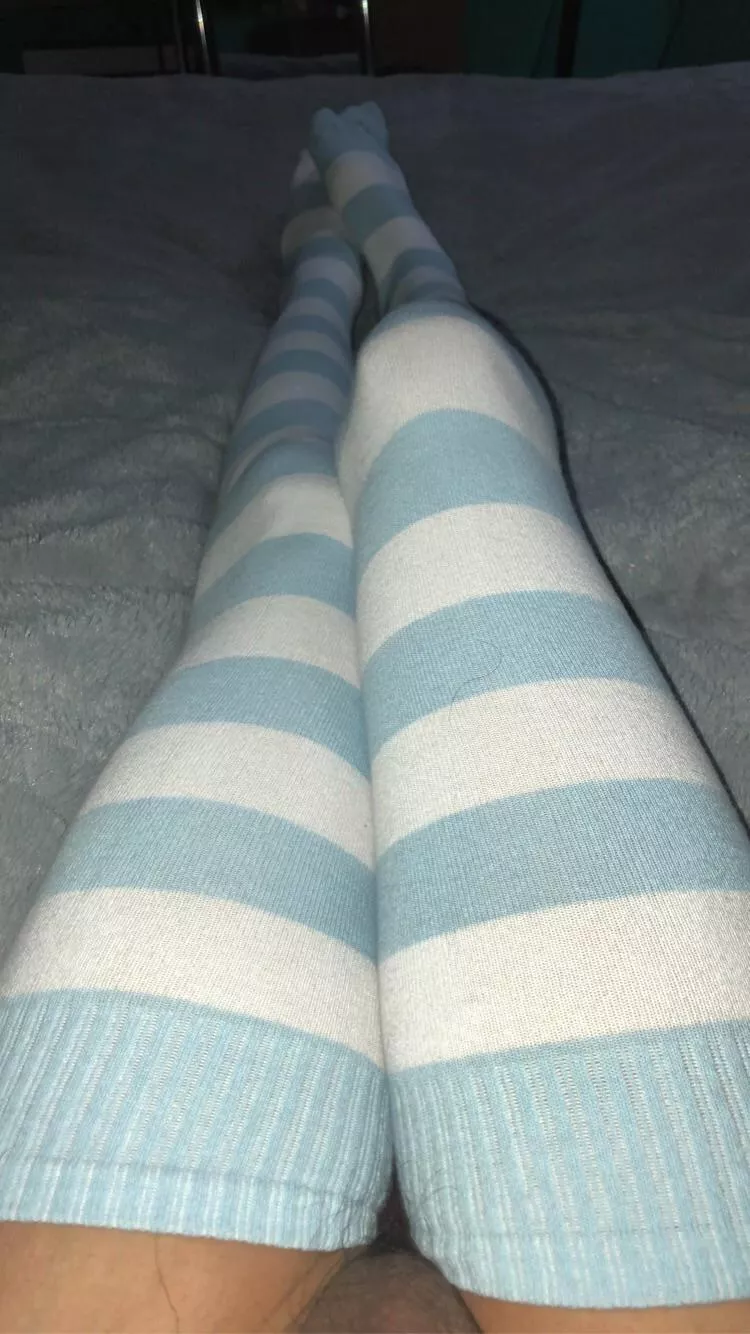 Iâ€™ve heard laying with thigh highs gets attention letâ€™s see UwU x