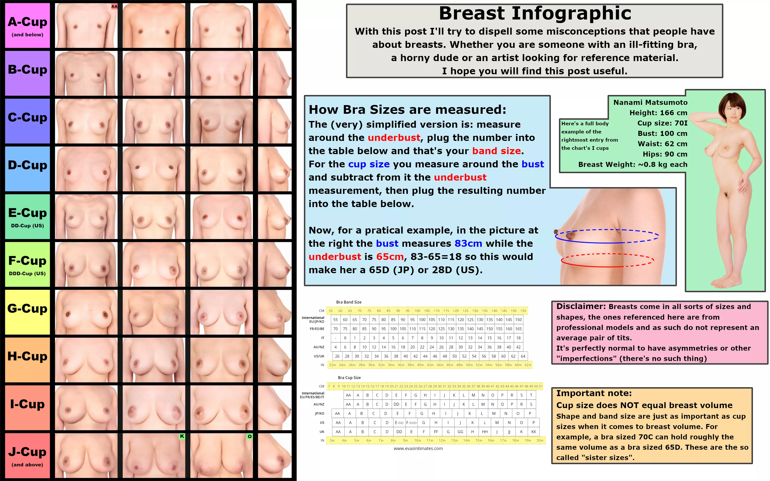 Japanese Breast Chart