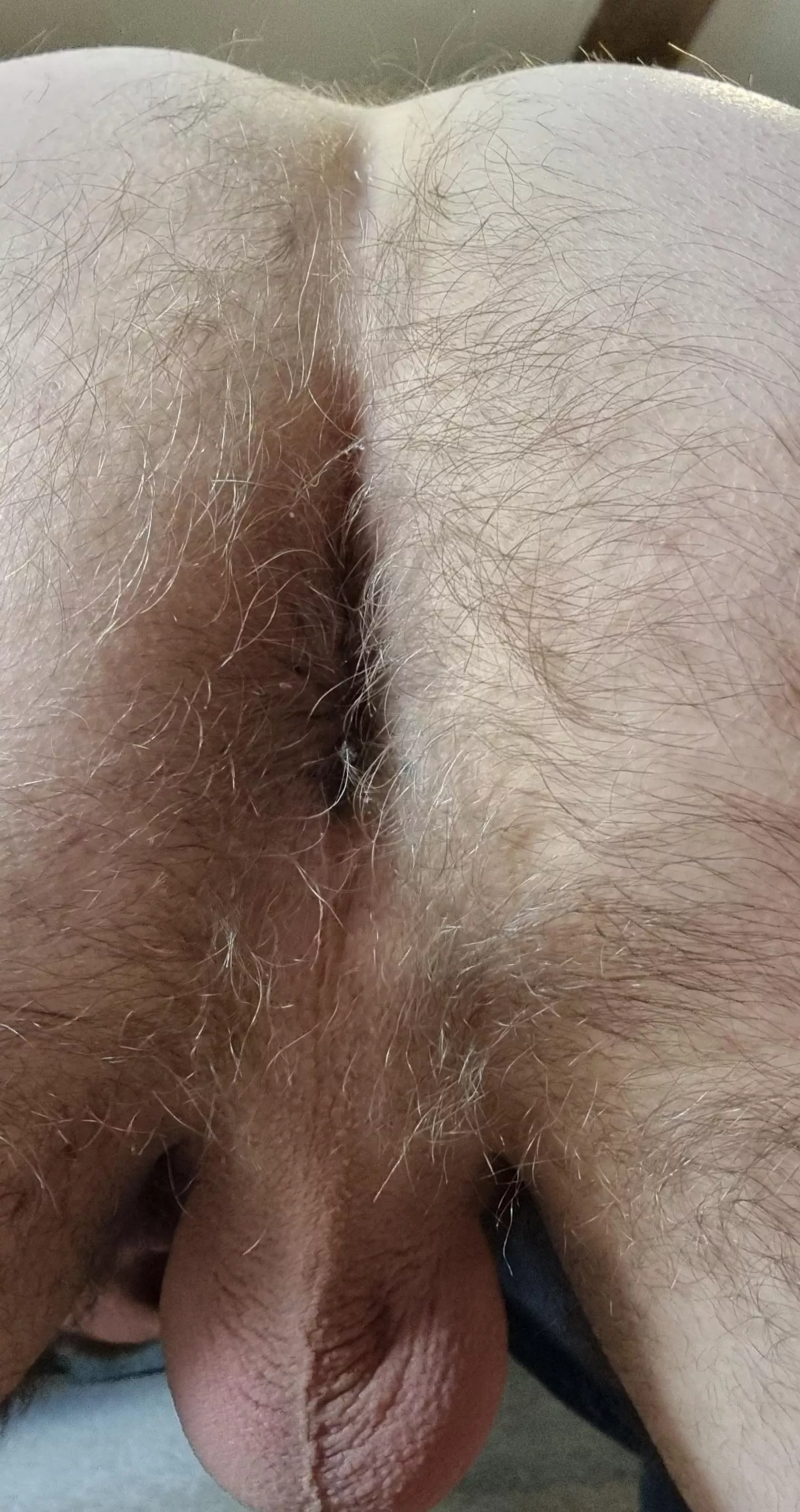 Just another hairy ass ðŸ™ˆ