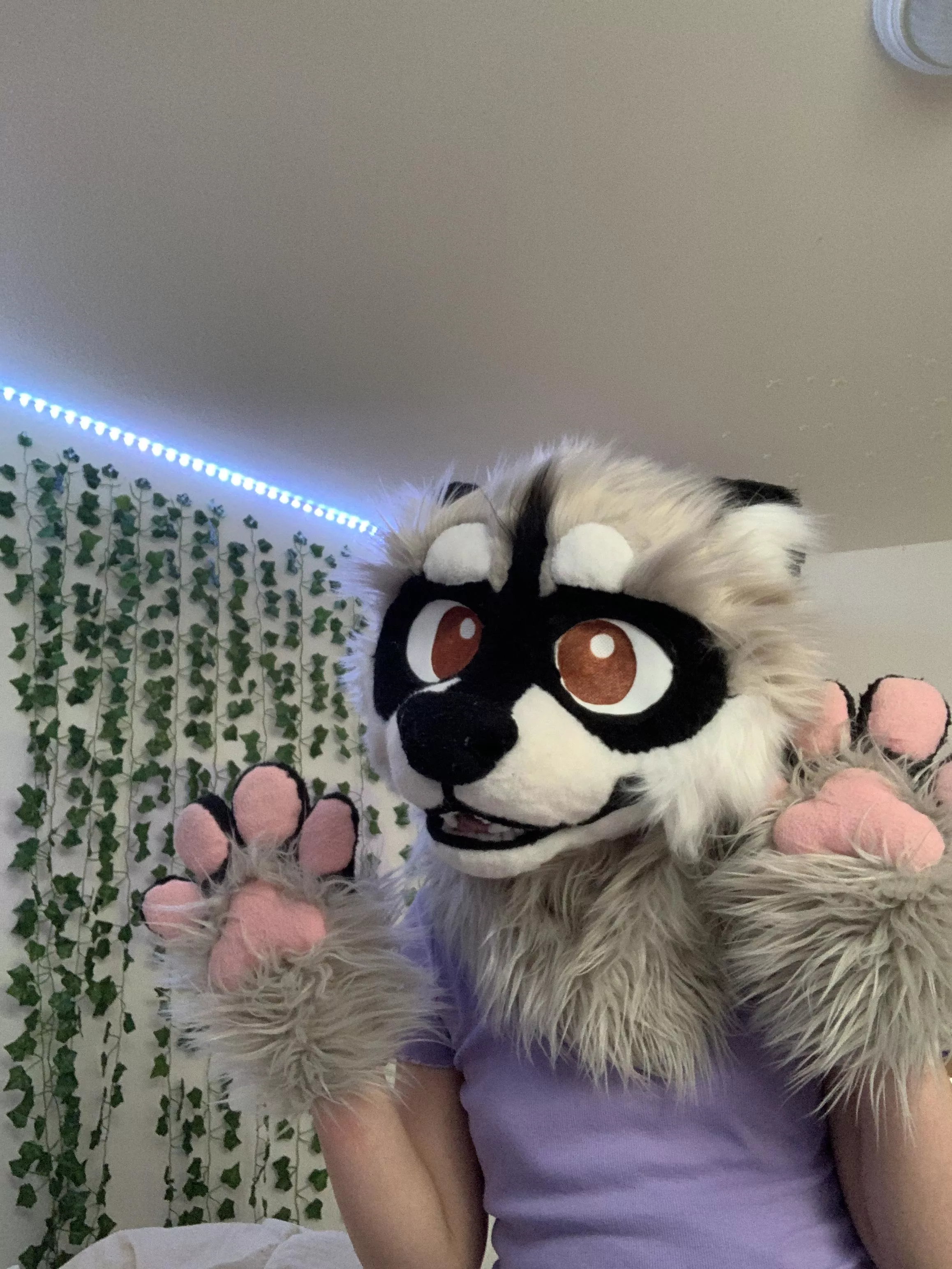 Just got my first fursuit!!