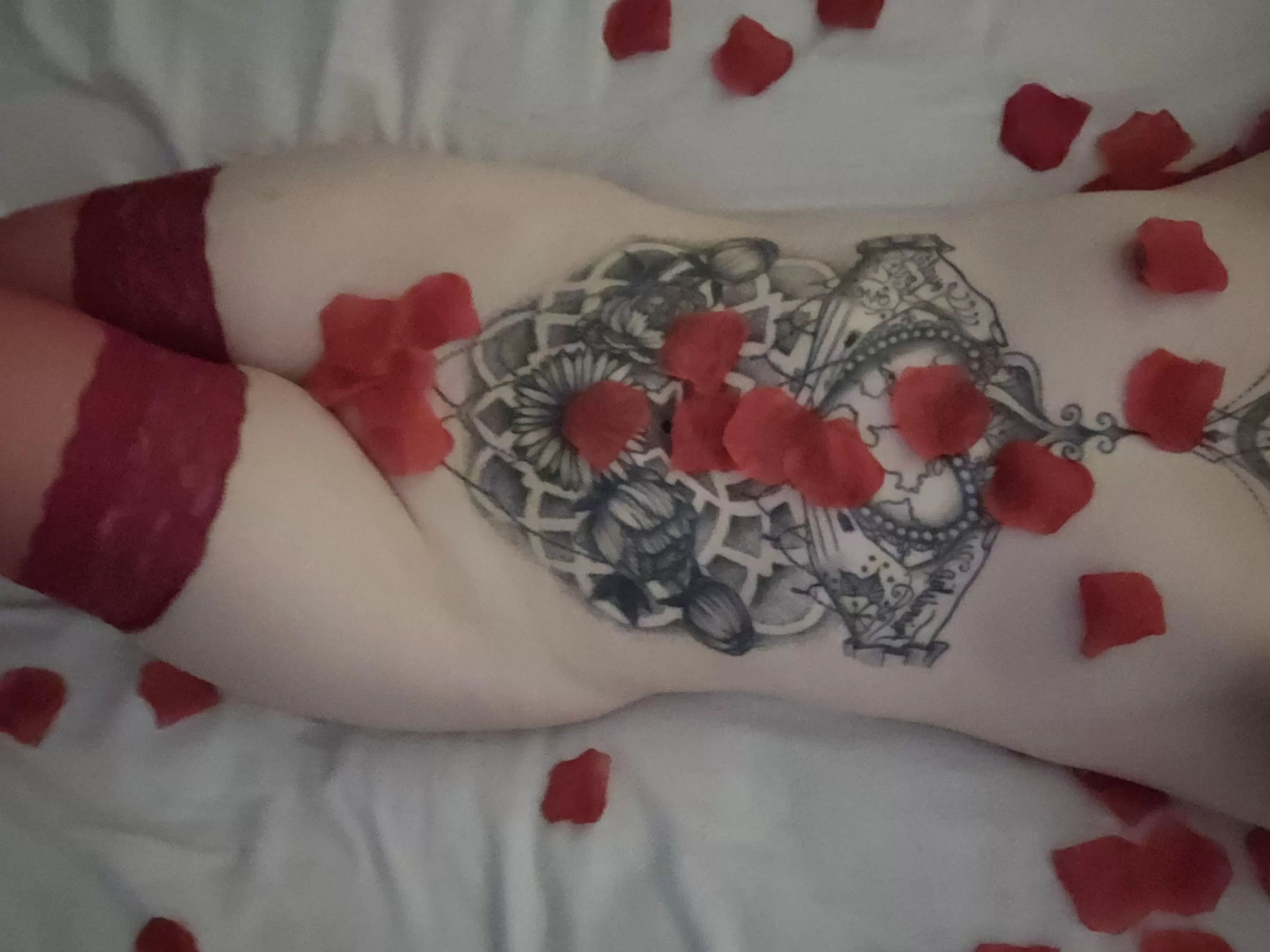 Just rose petals and thigh highs