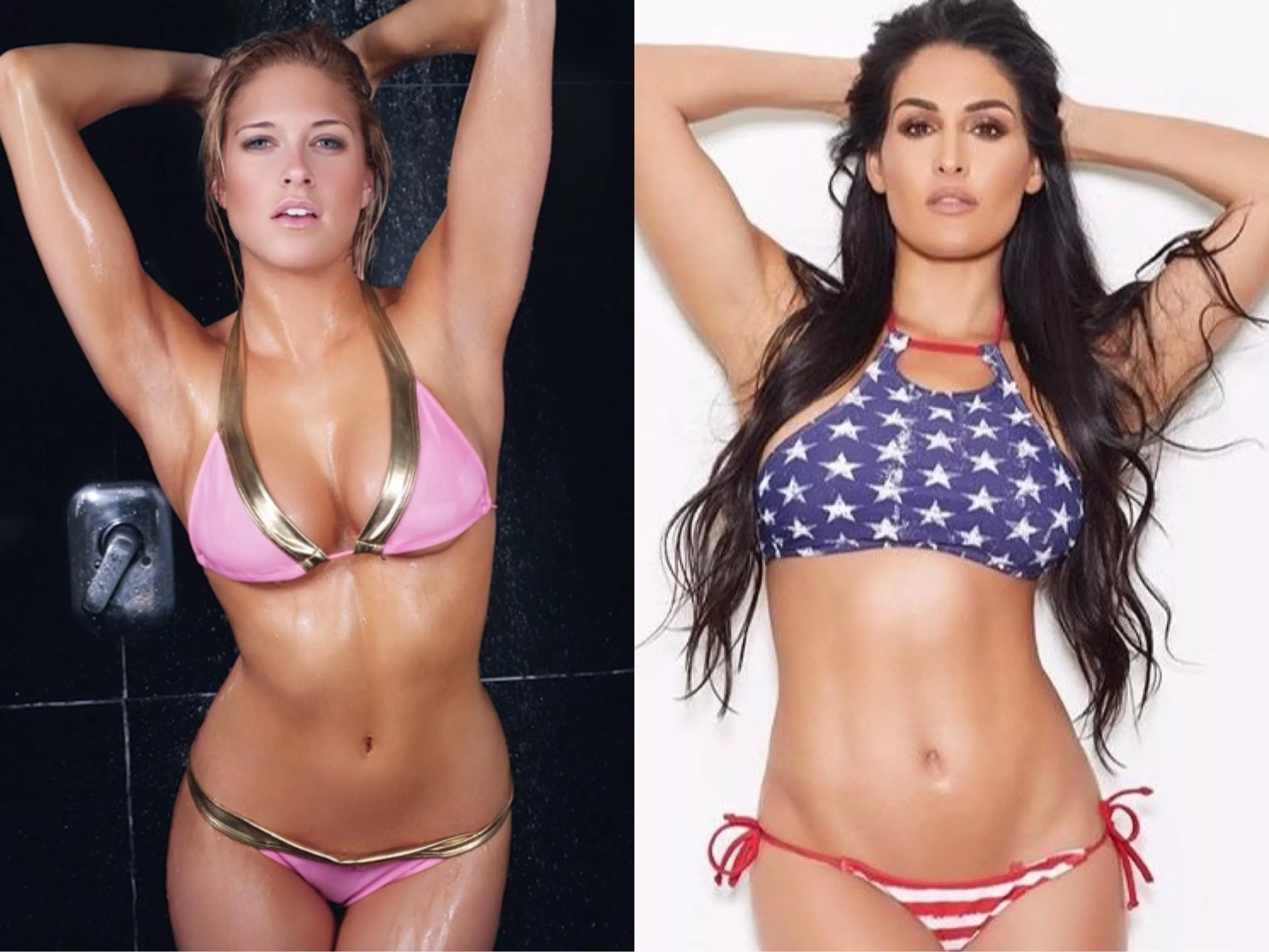 Kelly Kelly or Nikki Bella?