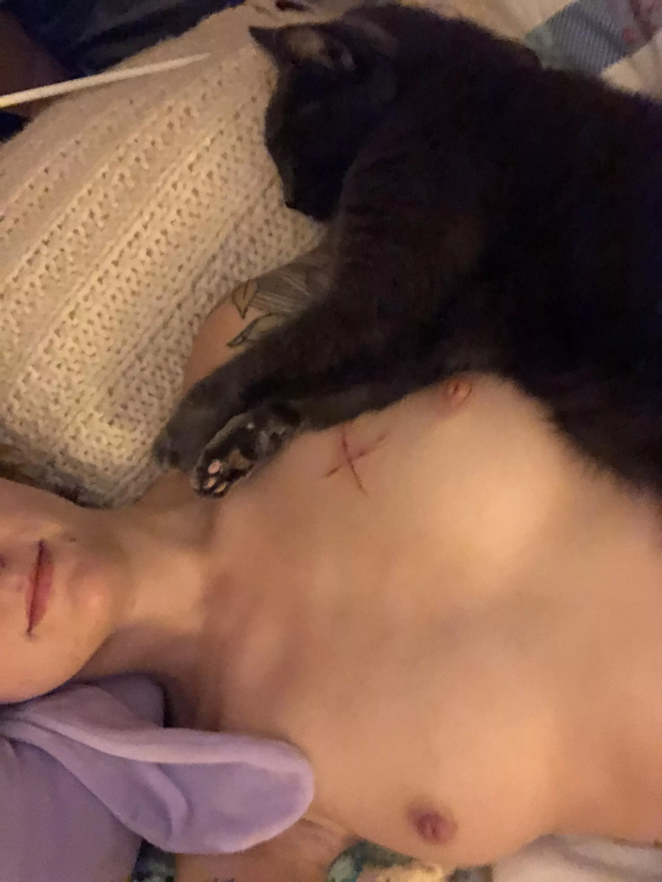 Kitty asleep on the titty [OC]