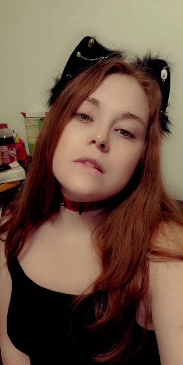 Kitty ears and my collar