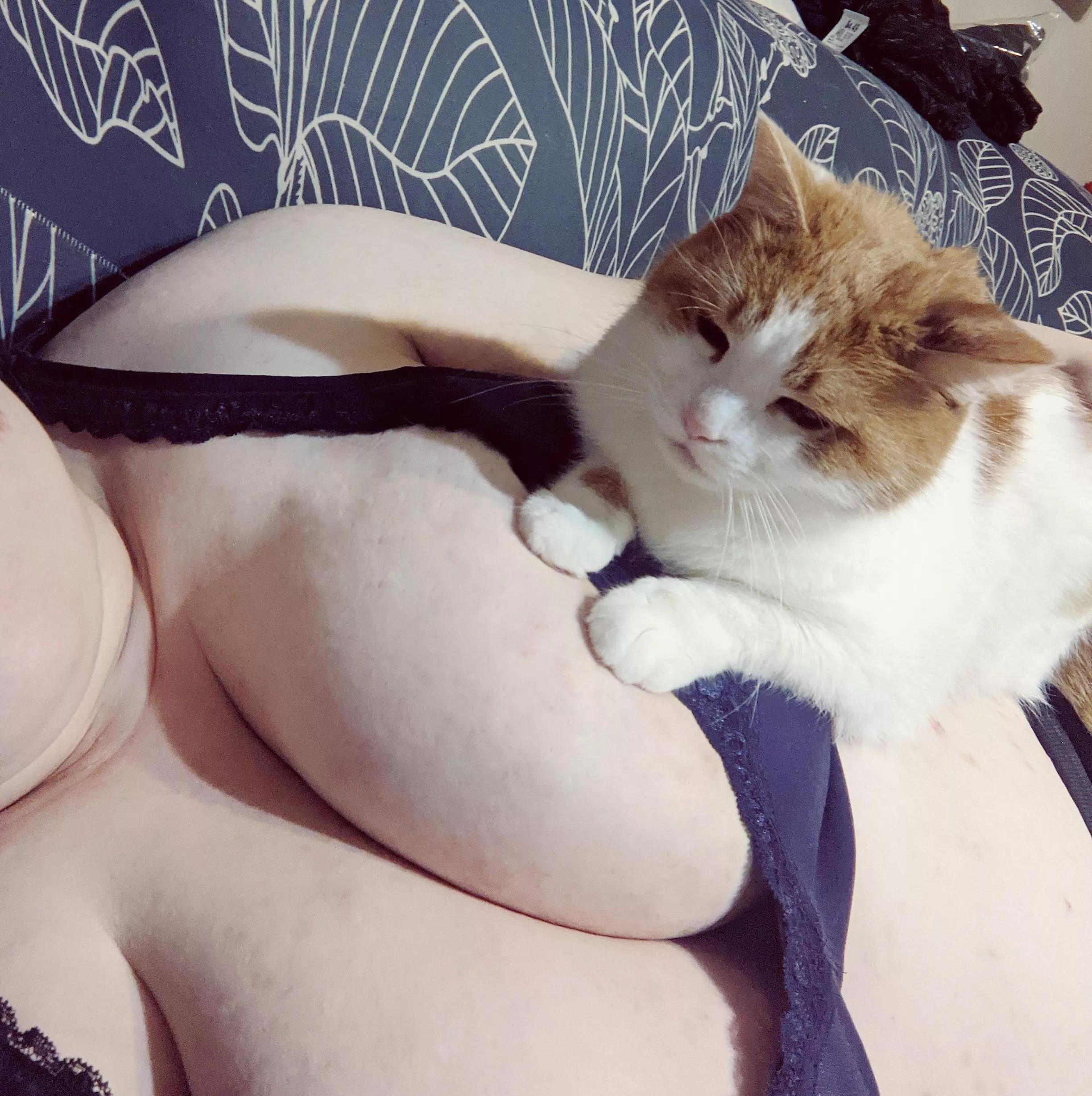 Kitty's making biscuits on my titties