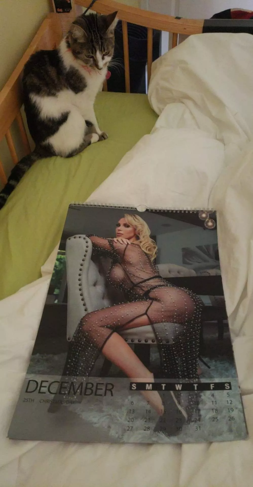 Last month of dirty blonde calendar. February is my fav cover