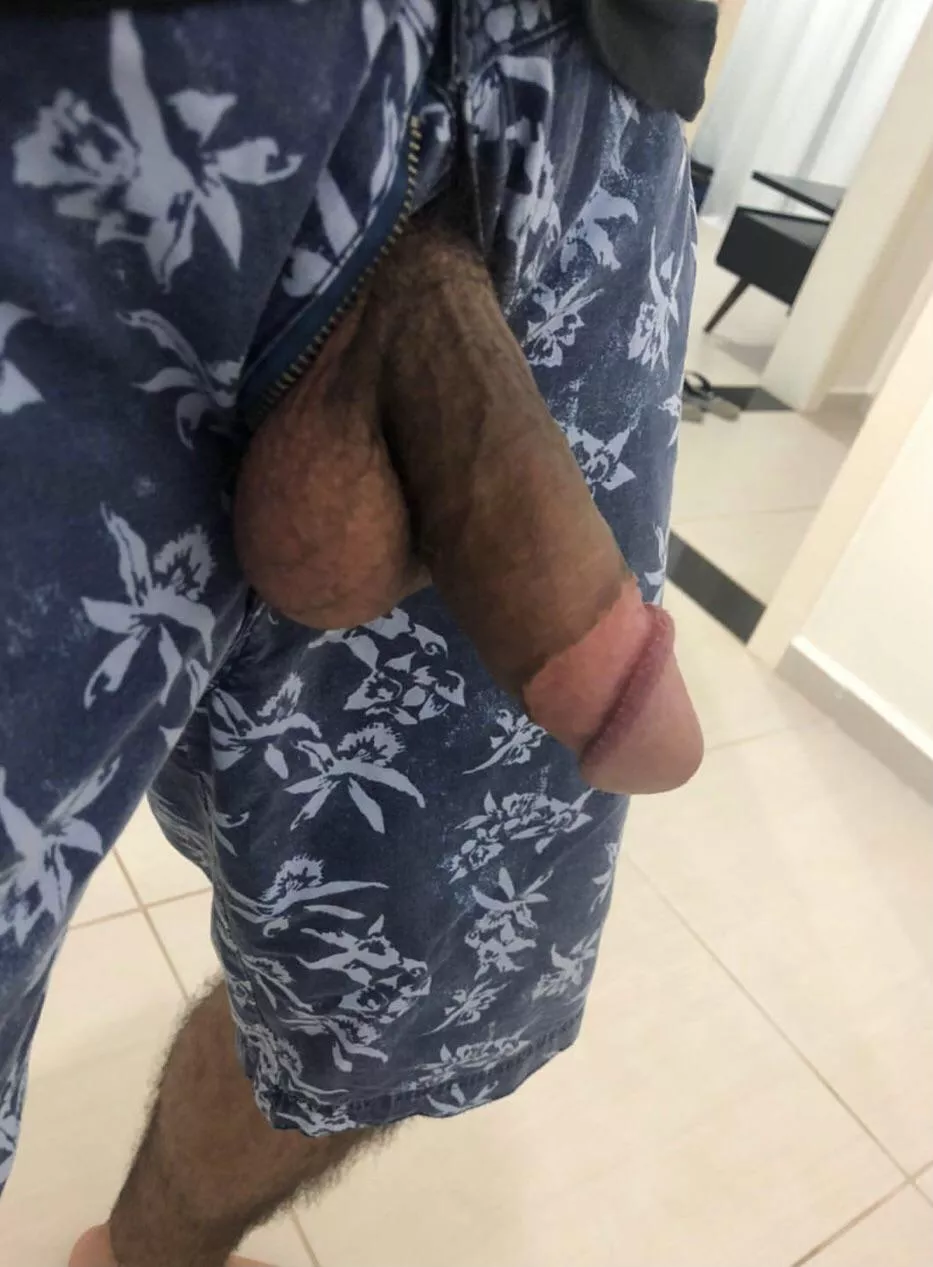 Latin cut cock