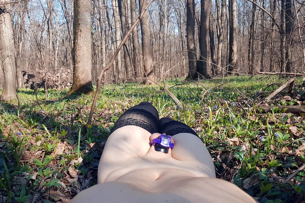 Laying in the forest, waiting to be found