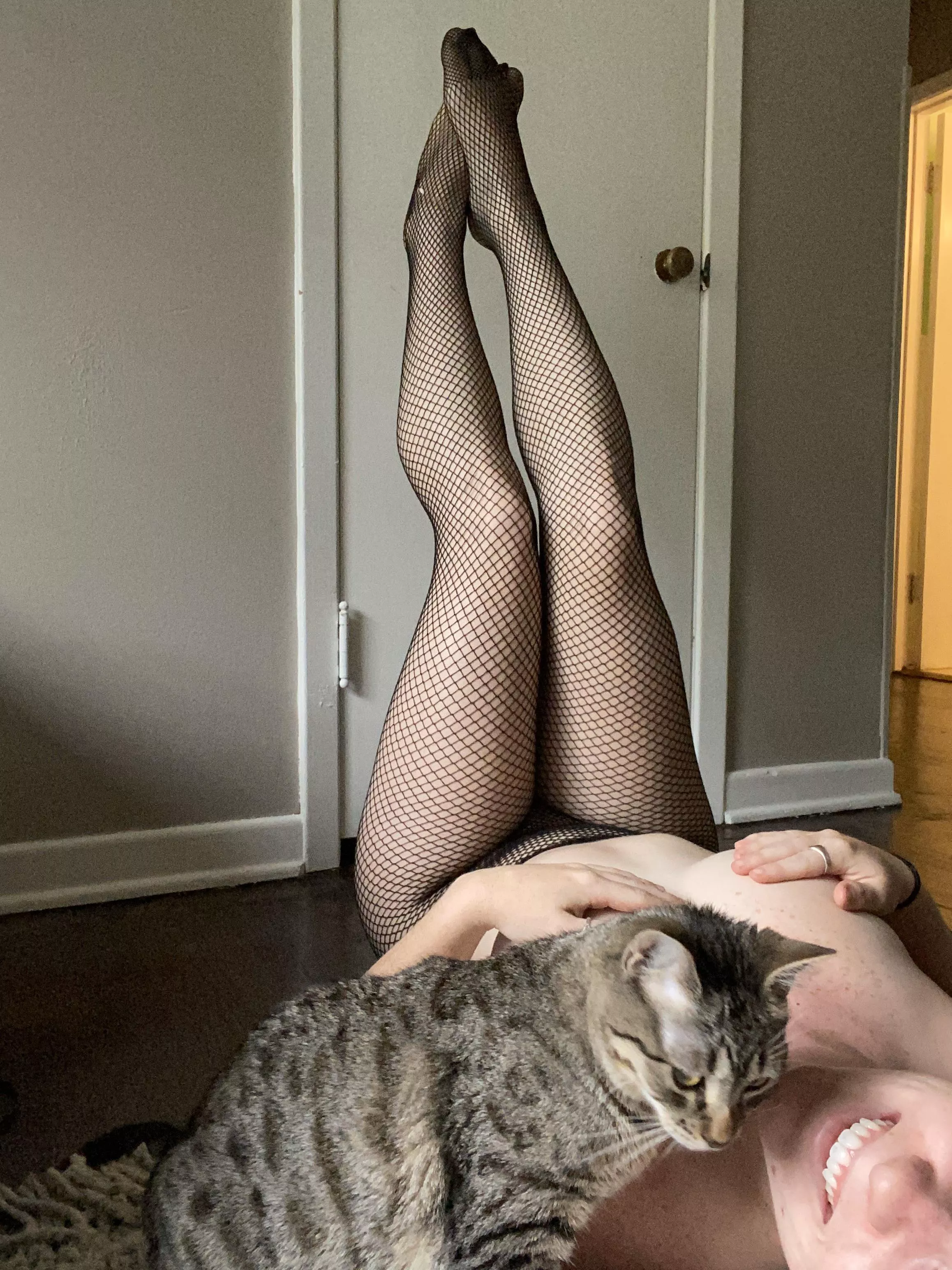 Legs and cat