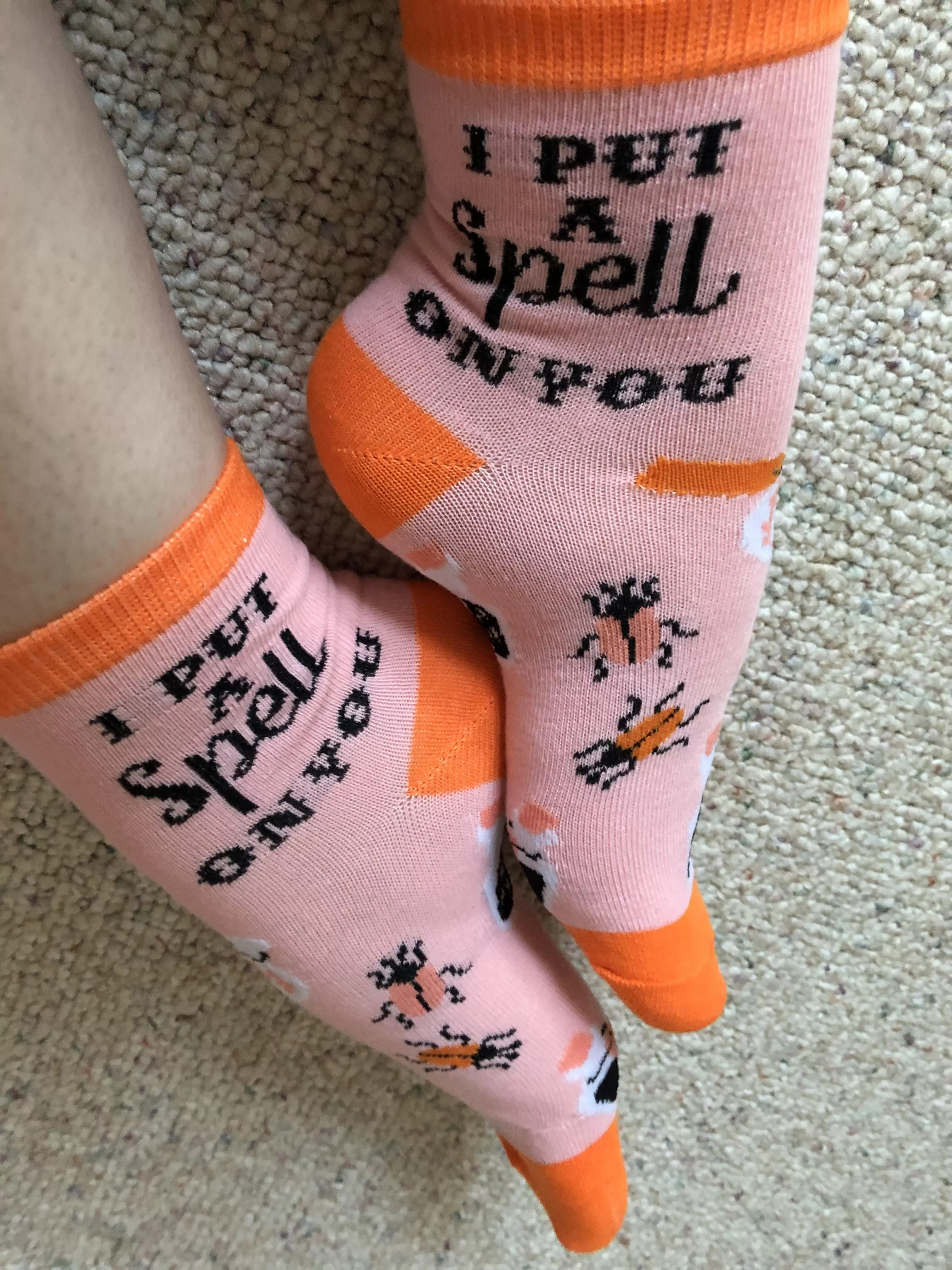 Let my socks put a spell on you! (F)