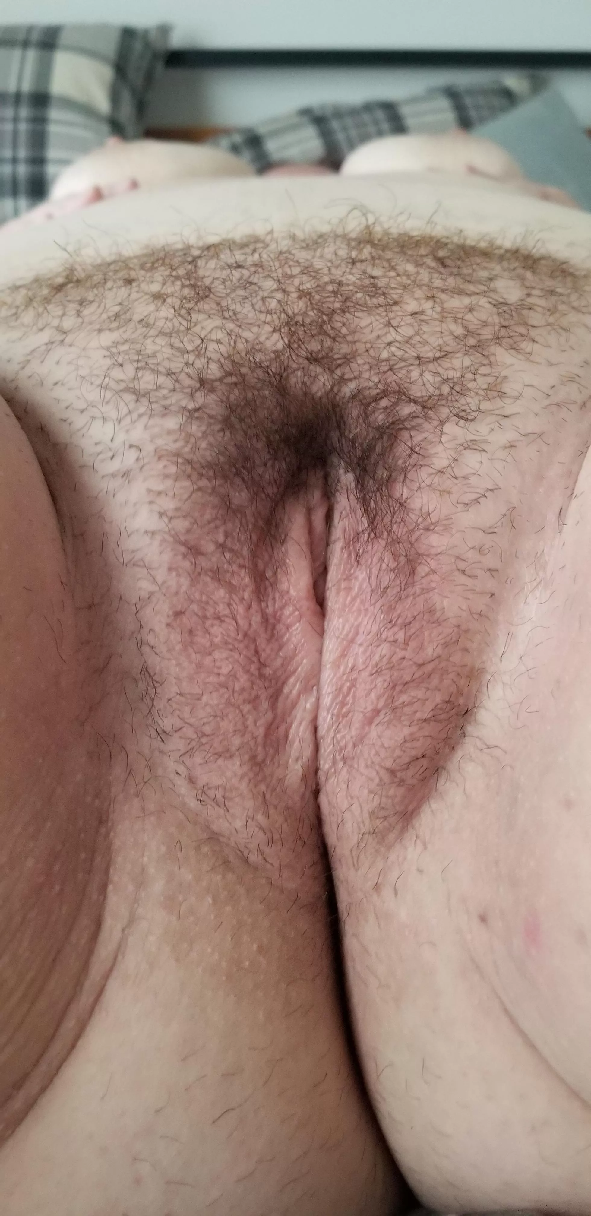 Lick My Pussy? [F] [OC]