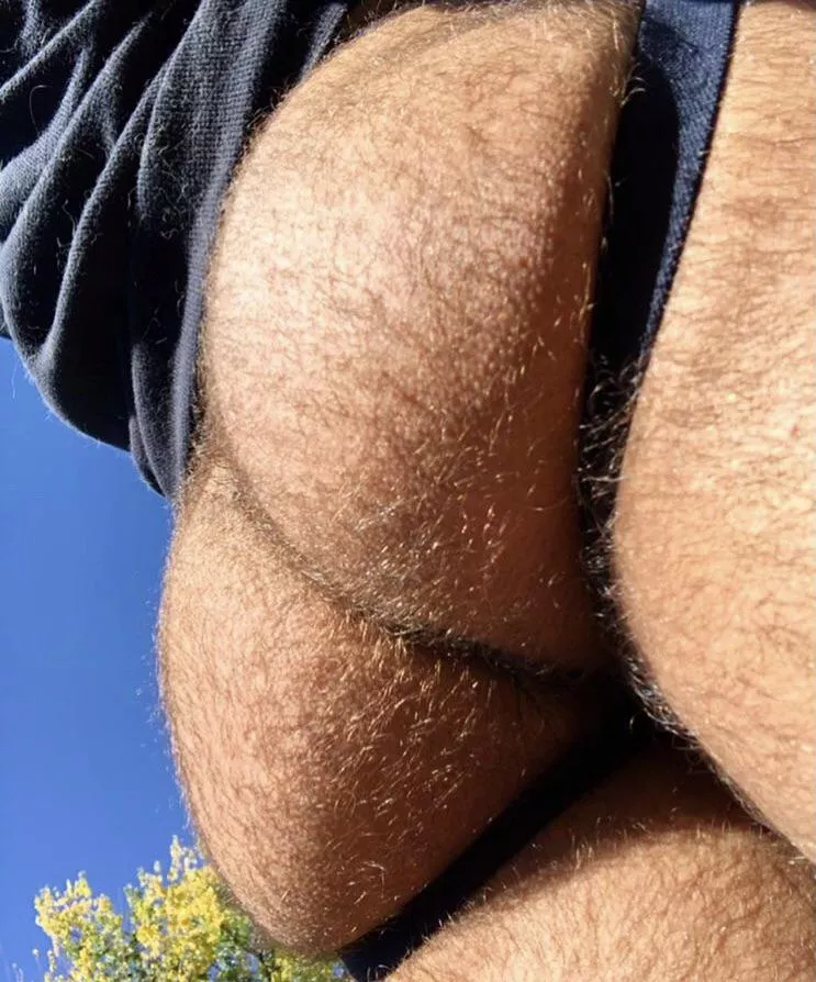 Like my fuzzy ass? 🐻