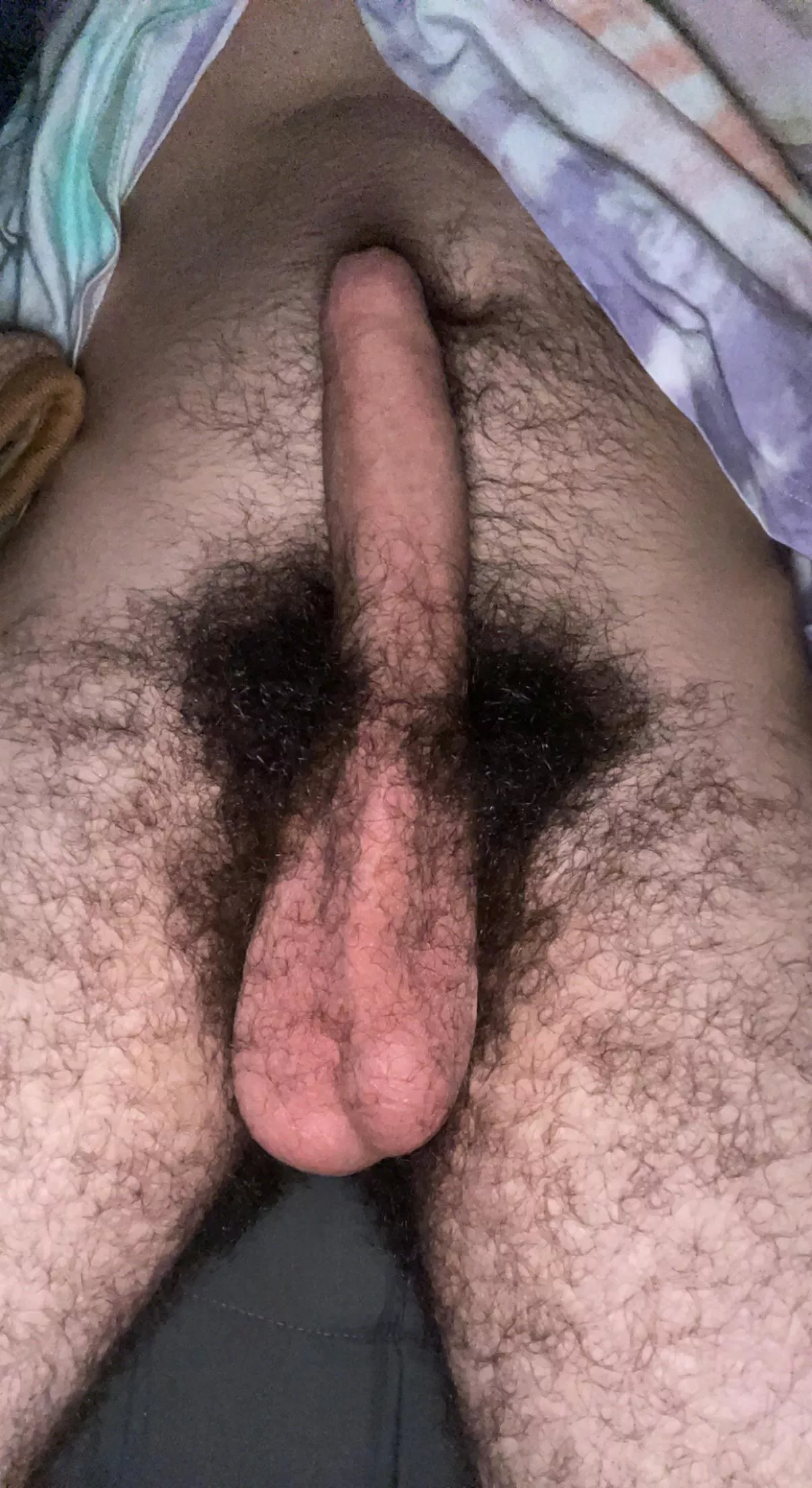 Like my manly uncut cock? ðŸ»